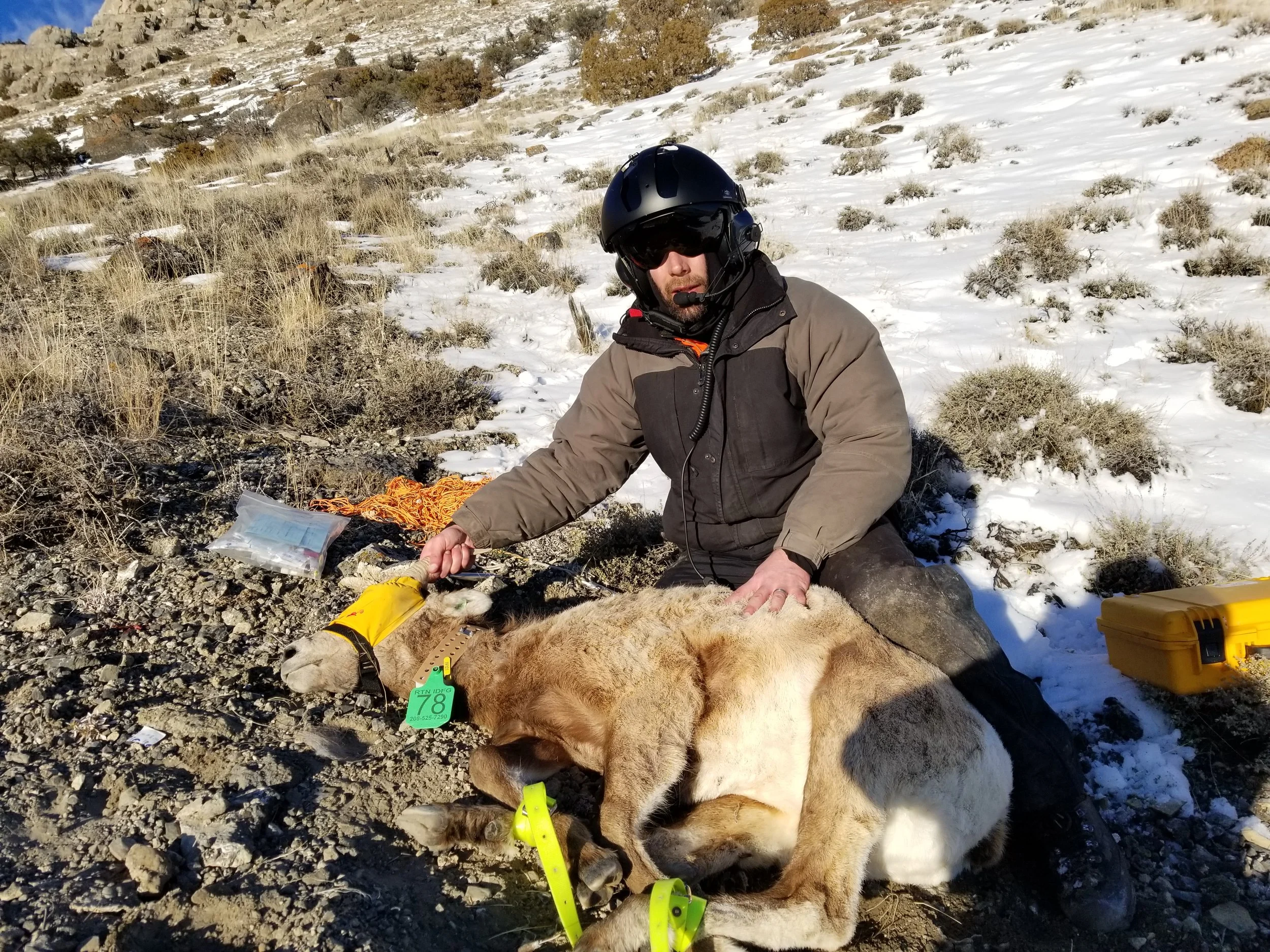 20180305_173155.jpg