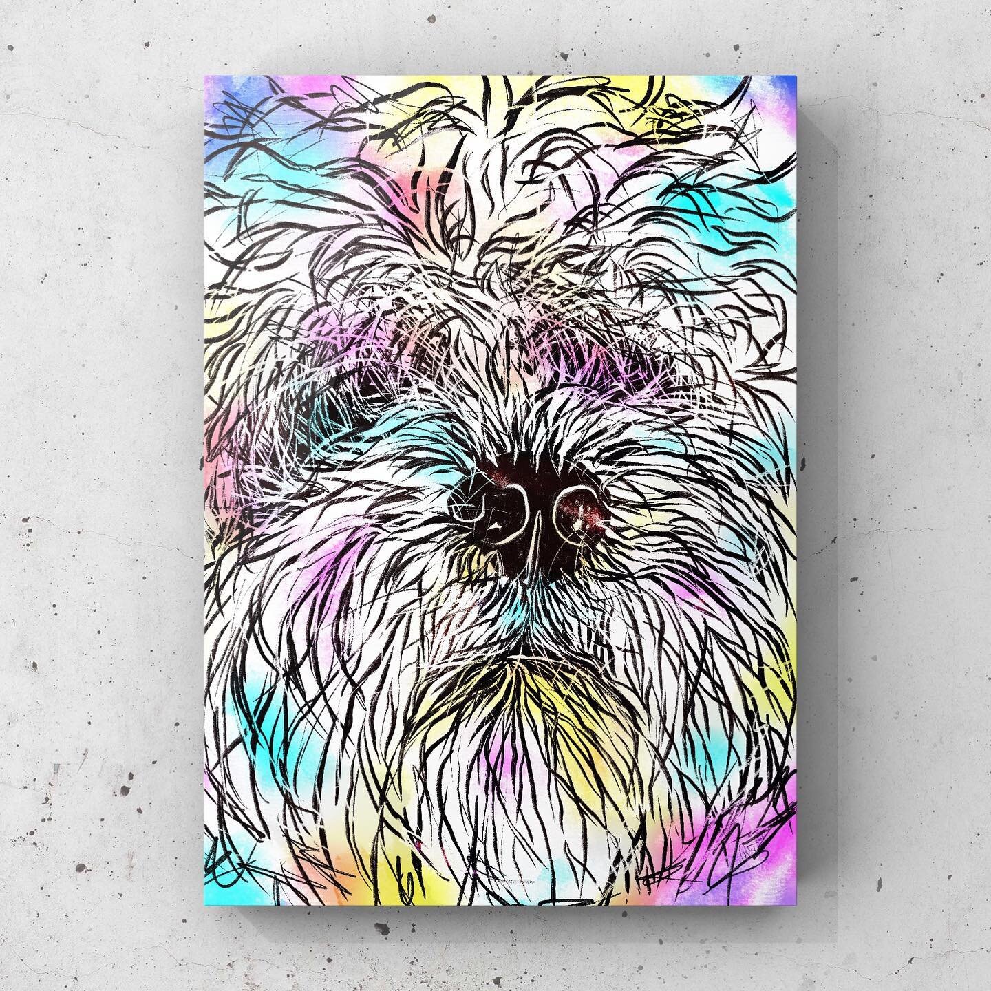 It&rsquo;s been a while&hellip;a messy digital sketch inspired by a pic sent to me from a friend &hellip; this is &lsquo;Buddy&rsquo; &hellip;

#dogart #puppyart #digitalart #animalart #messysketch #rcarty #rcartydesigns