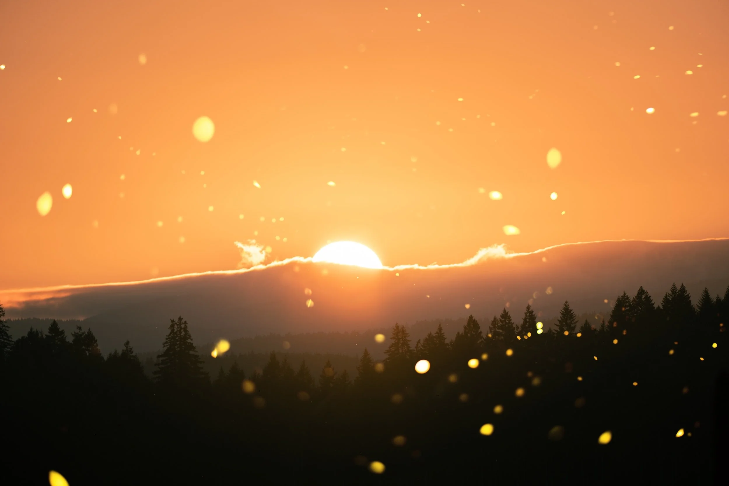 Why being present in the now is where we need to be!