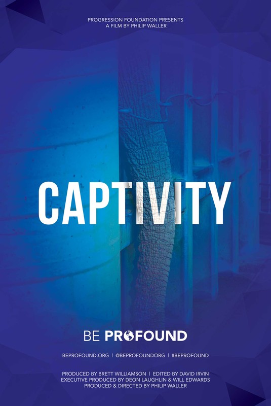 Captivity Poster.jpg
