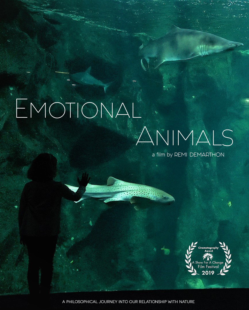 Affiche emotional animals award.png