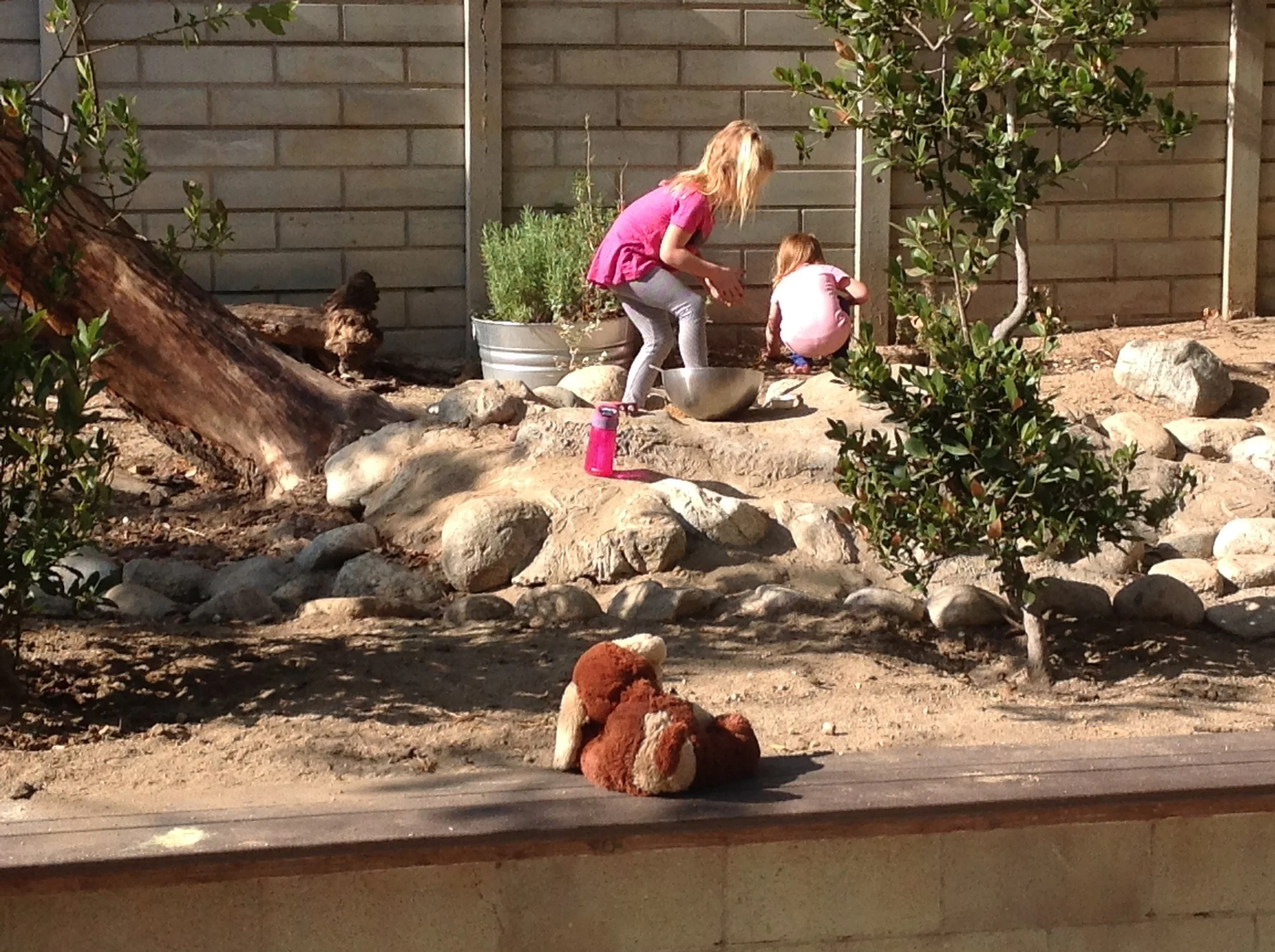 Stories of Resilience