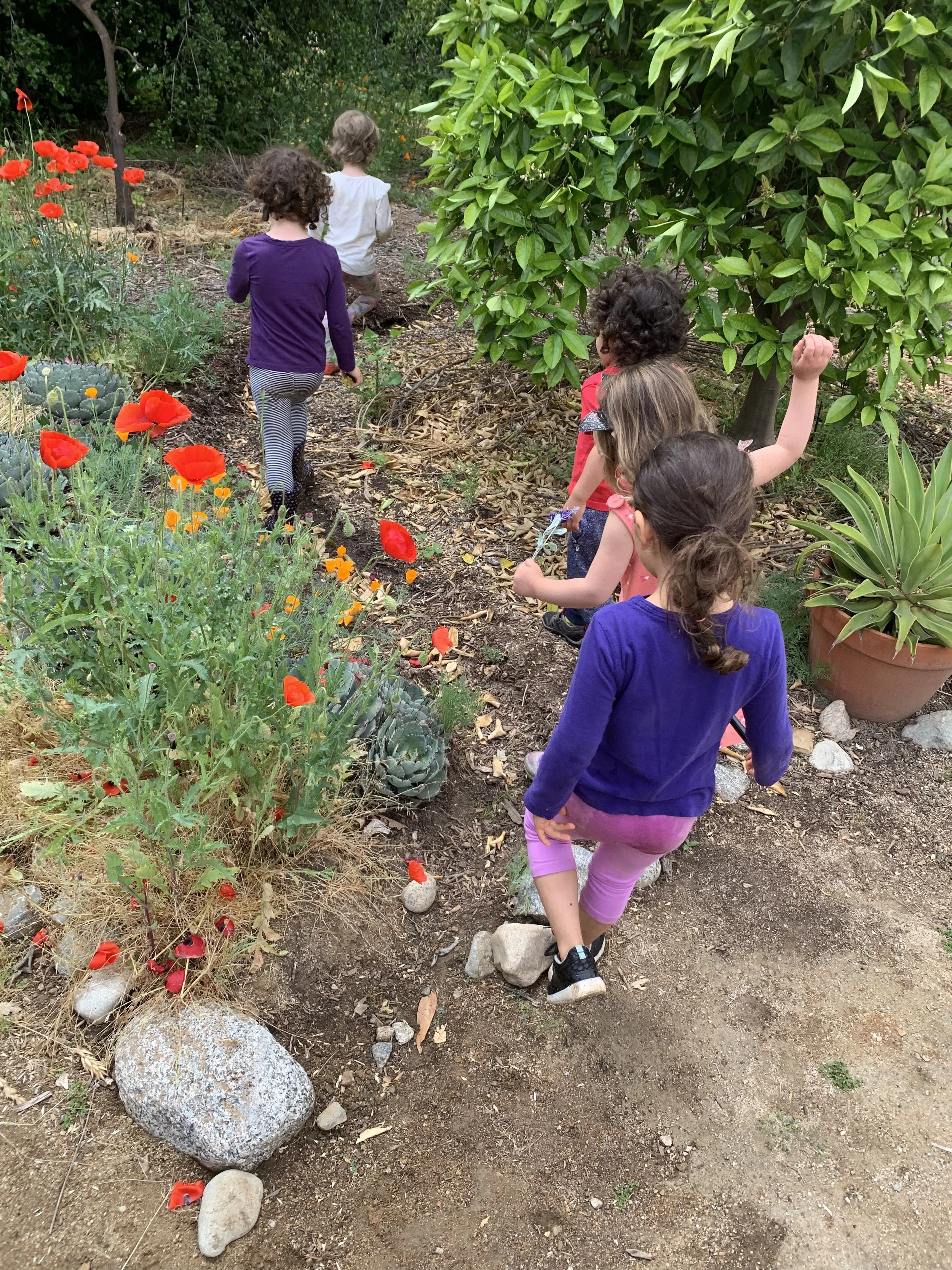 Cottage is for Everyone 