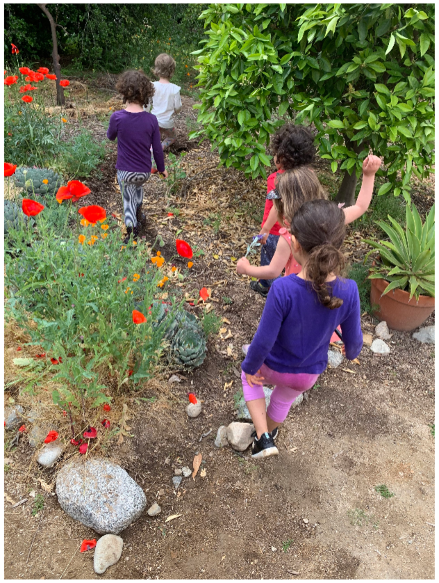 Cottage_Coop_Garden.png