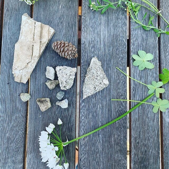 Treasures from today&rsquo;s walk.