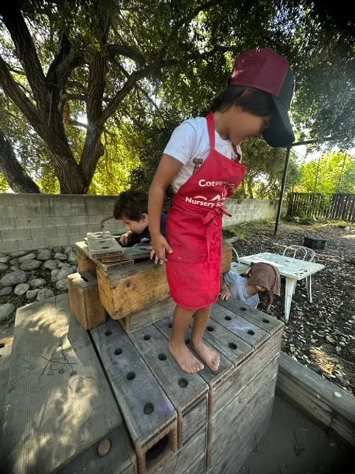 Summer Stories (2023)