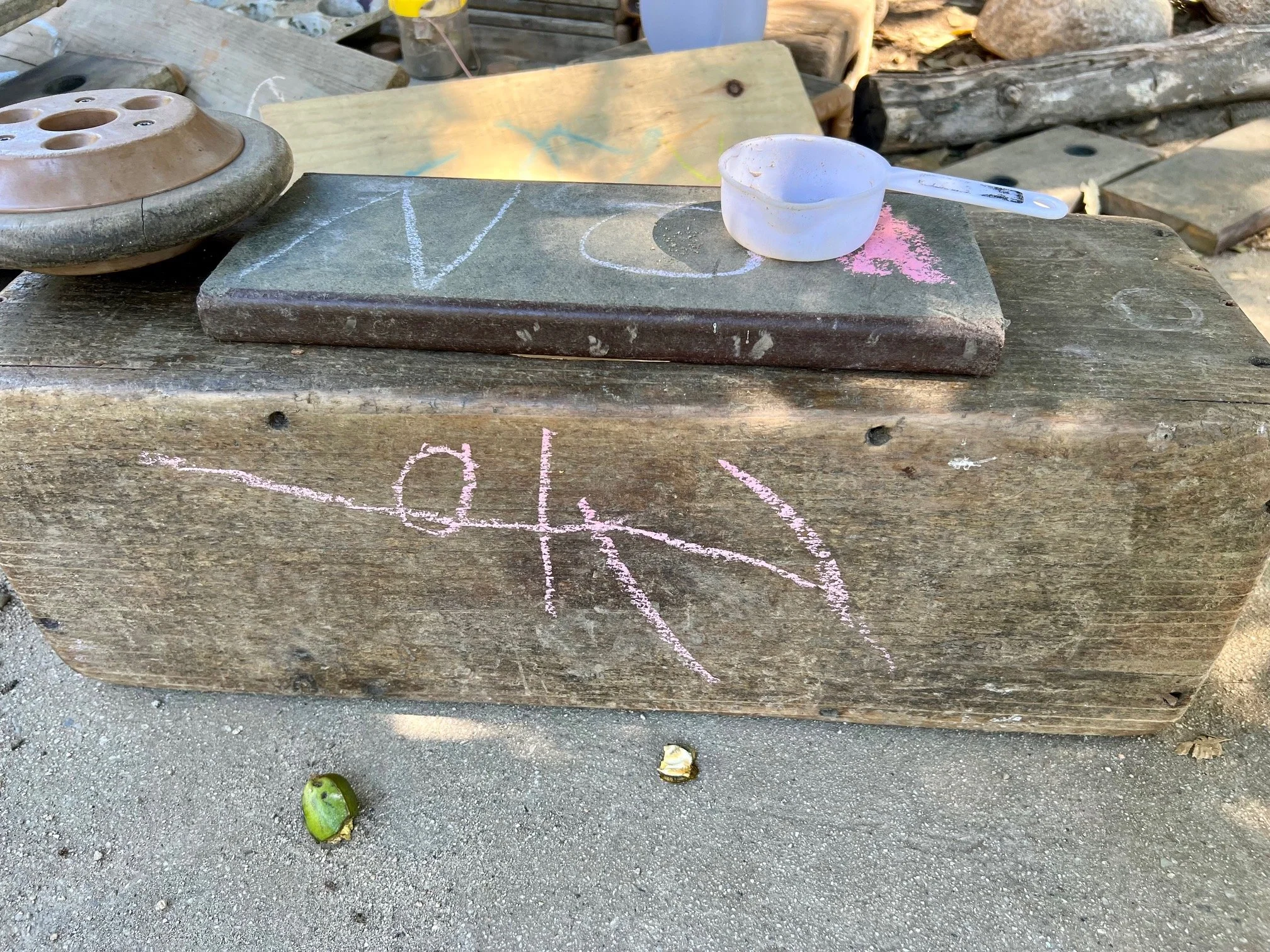 Sibling Co-Dependency (Guest post by Teacher Wallace Yovetich)