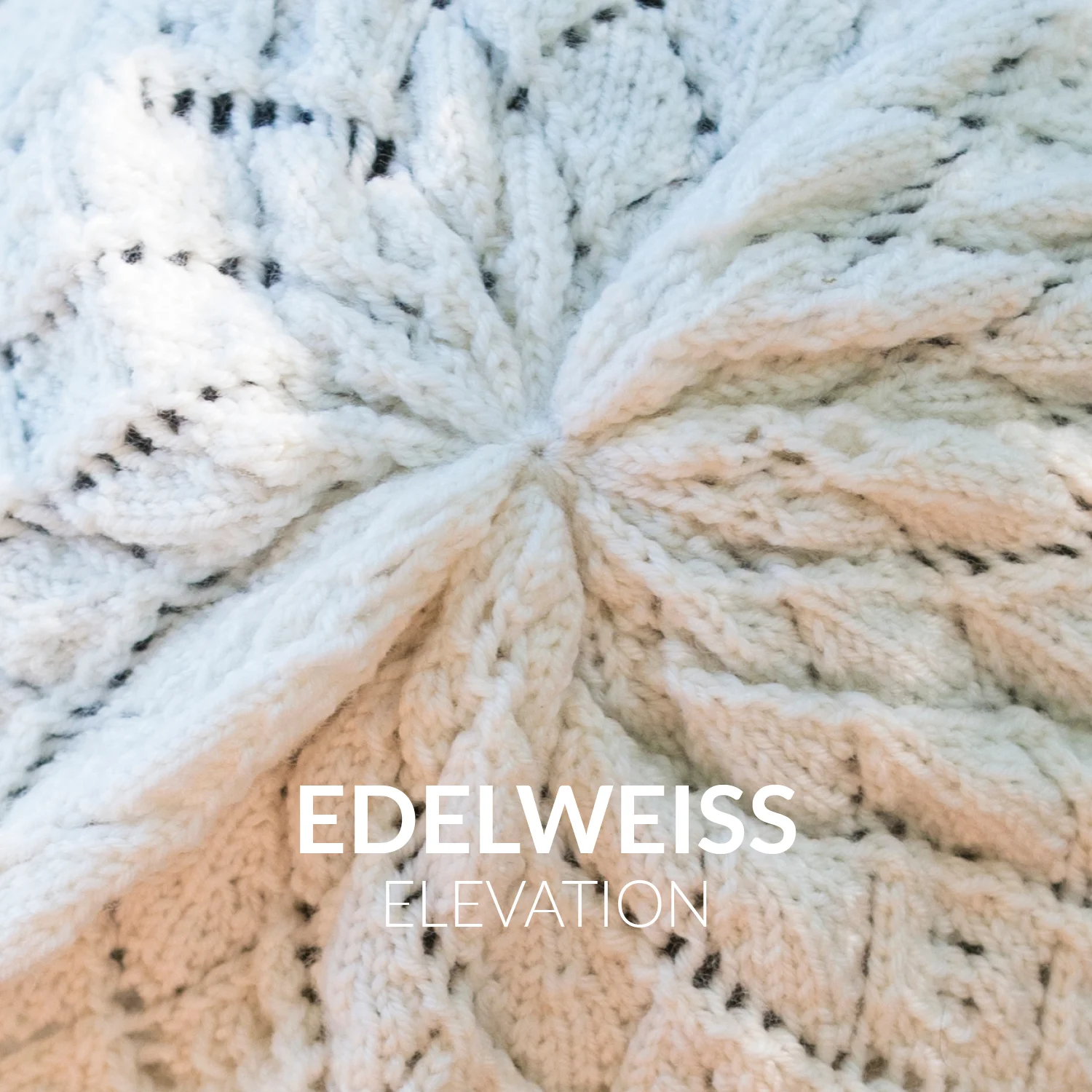 Pattern Close Up Announcement_Edelweiss.jpg