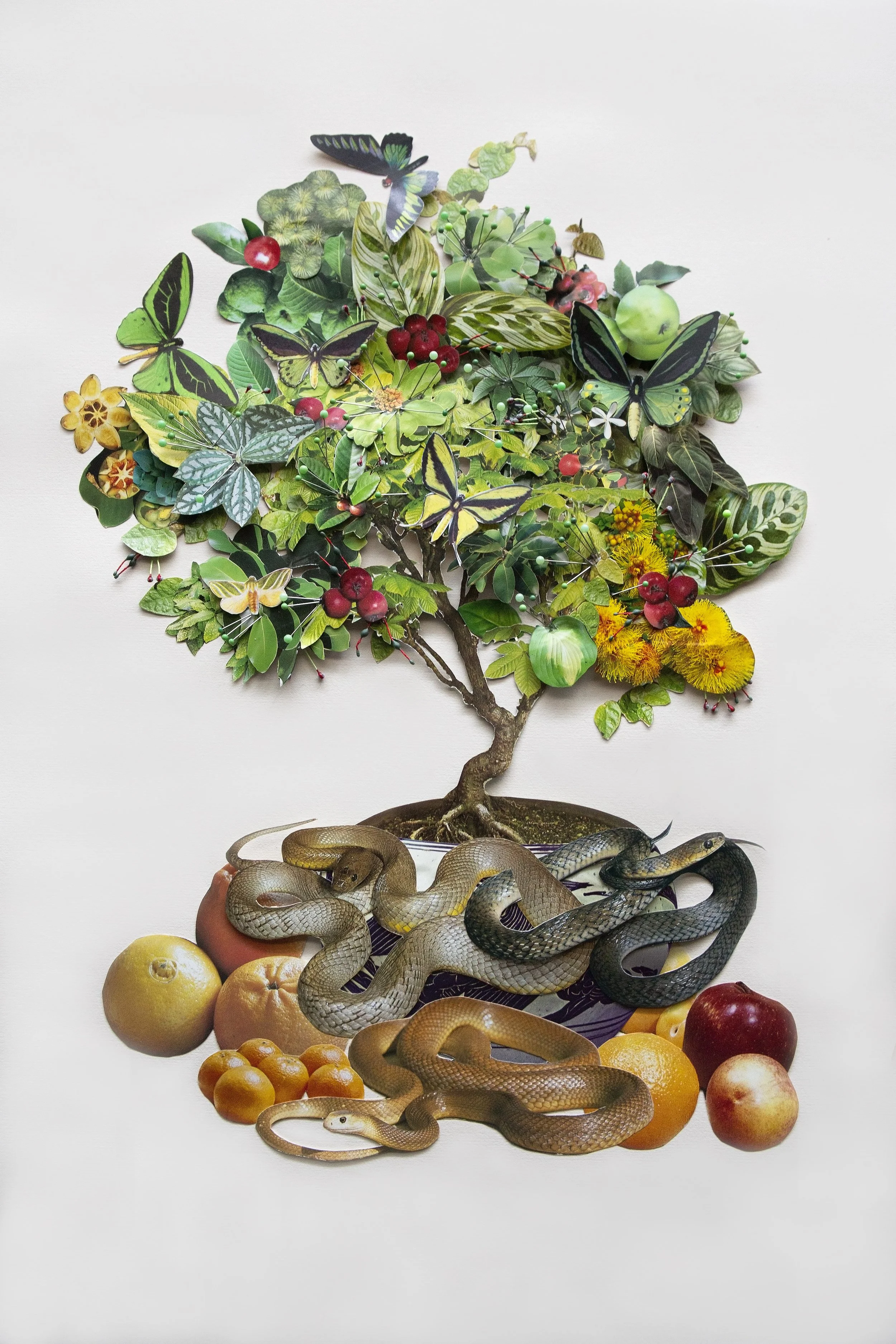 Wood Snake_Sai-Wai Foo_rgb.jpeg