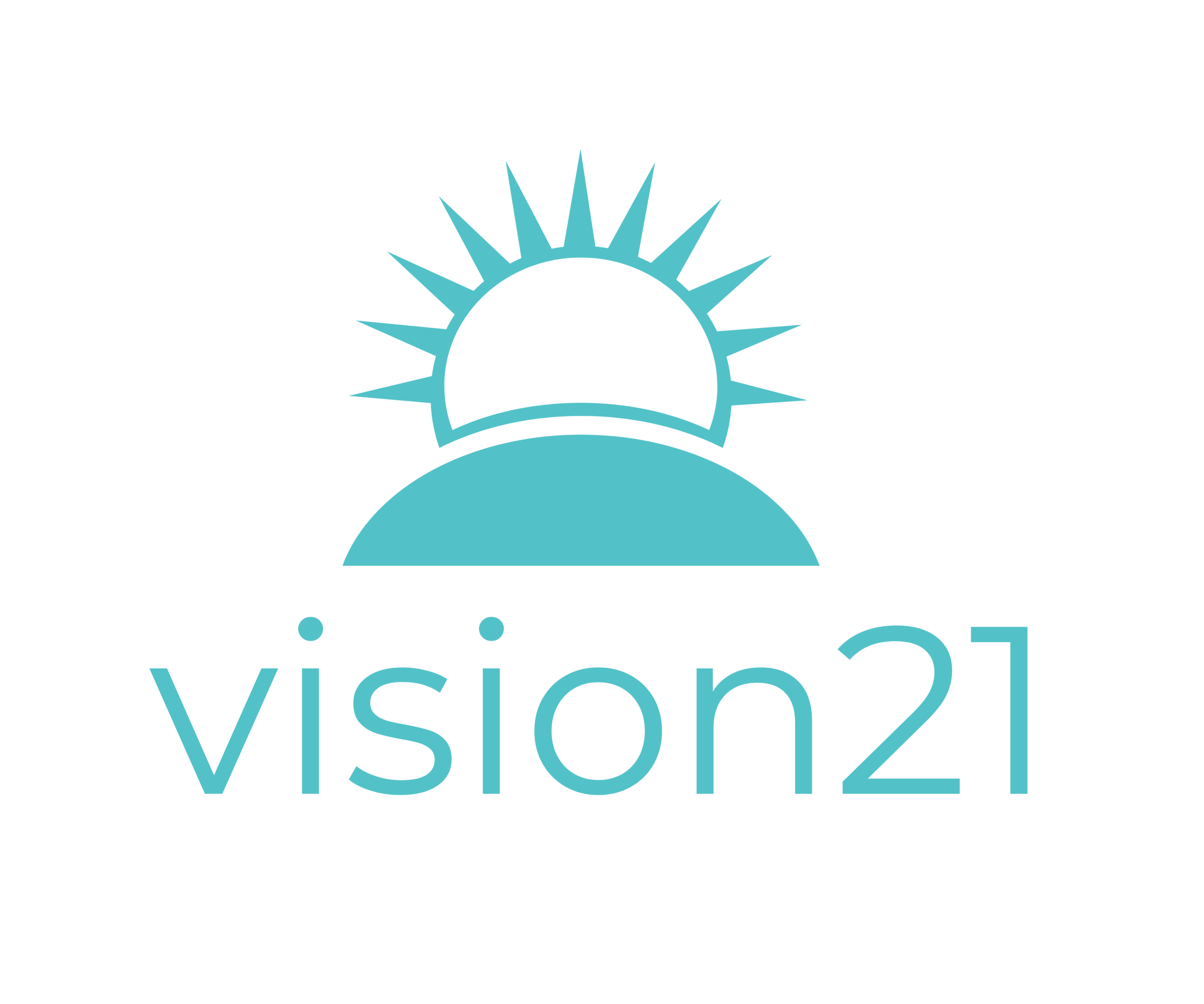 vision21