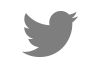 twitter_Logo_100px_grey.png