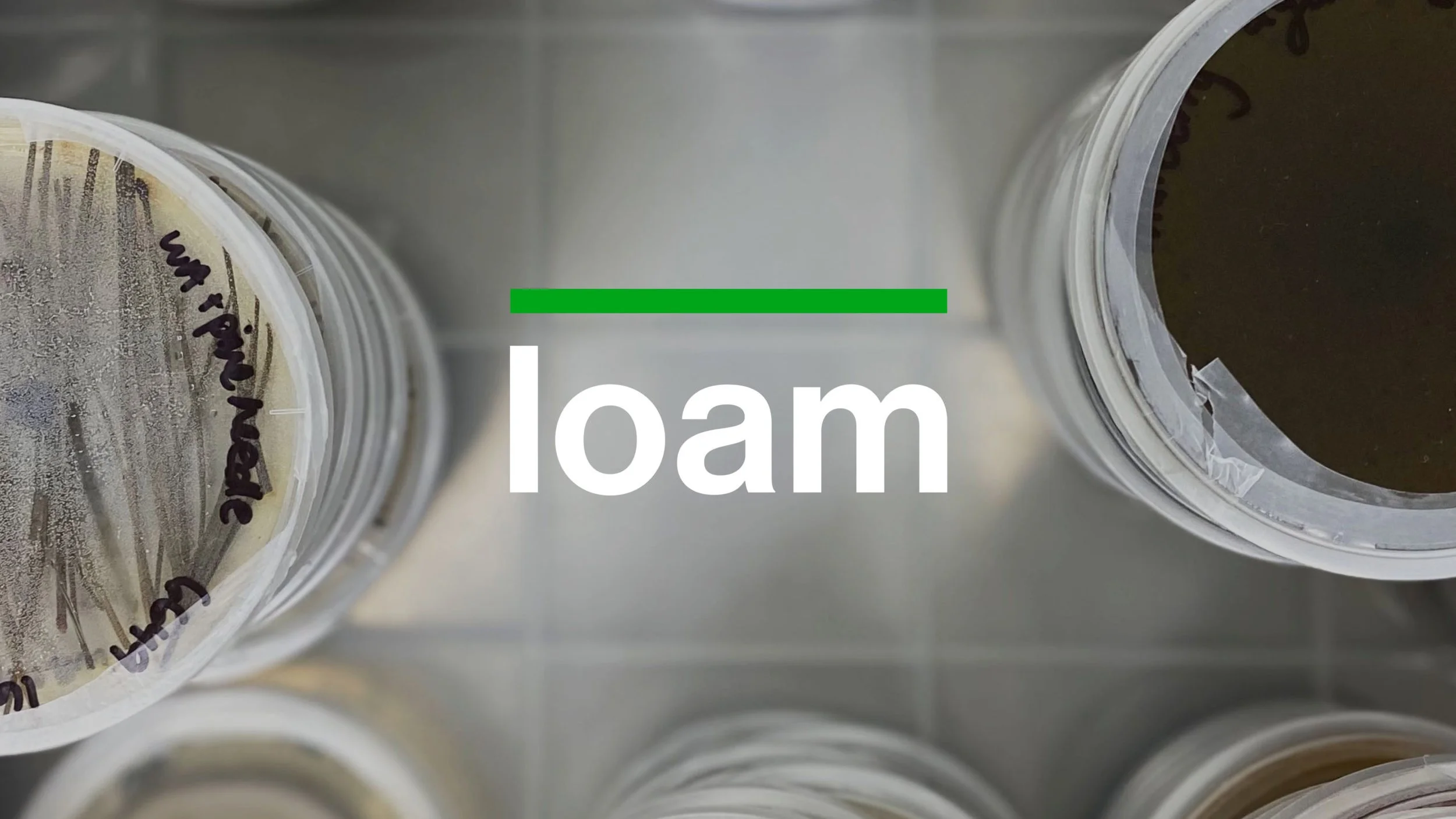 LOAM-Cover-01-scaled.jpg