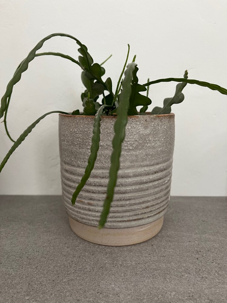 planters — LOT.ceramics