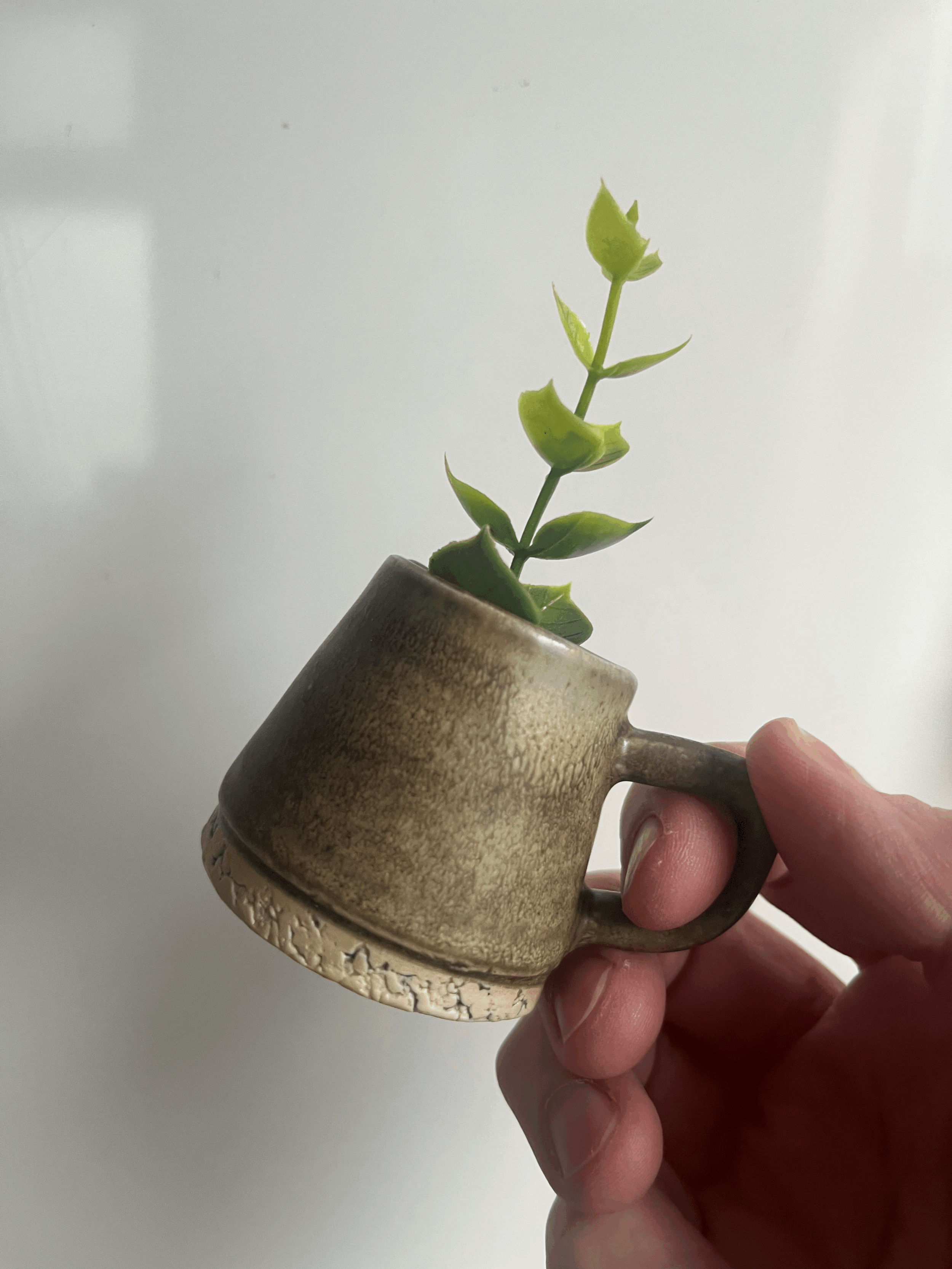 tempImagehF4p6j.gif