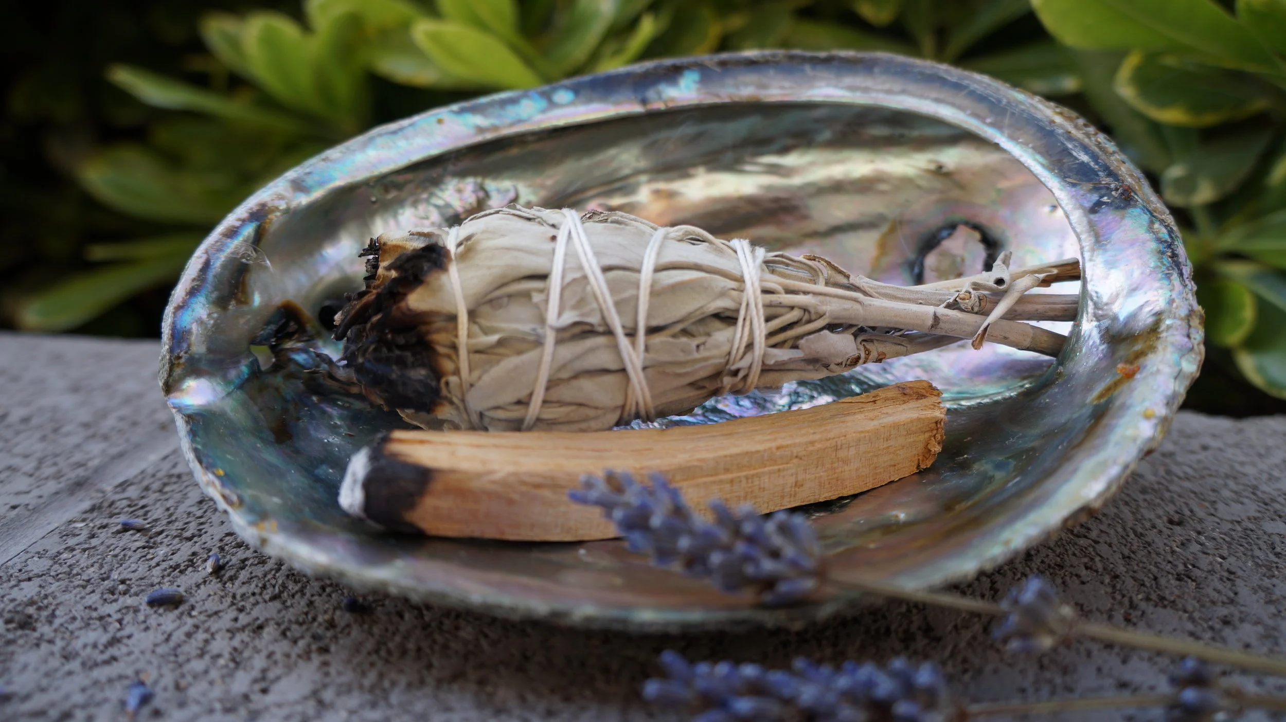 The Basics of Sage/Smudging 