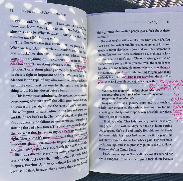 Yours don’t have to look like mine, but here’s an example from Mark Manson’s The Subtle Art of Not Giving a F*ck.