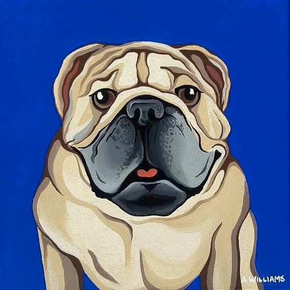 happy wrinkles.jpg