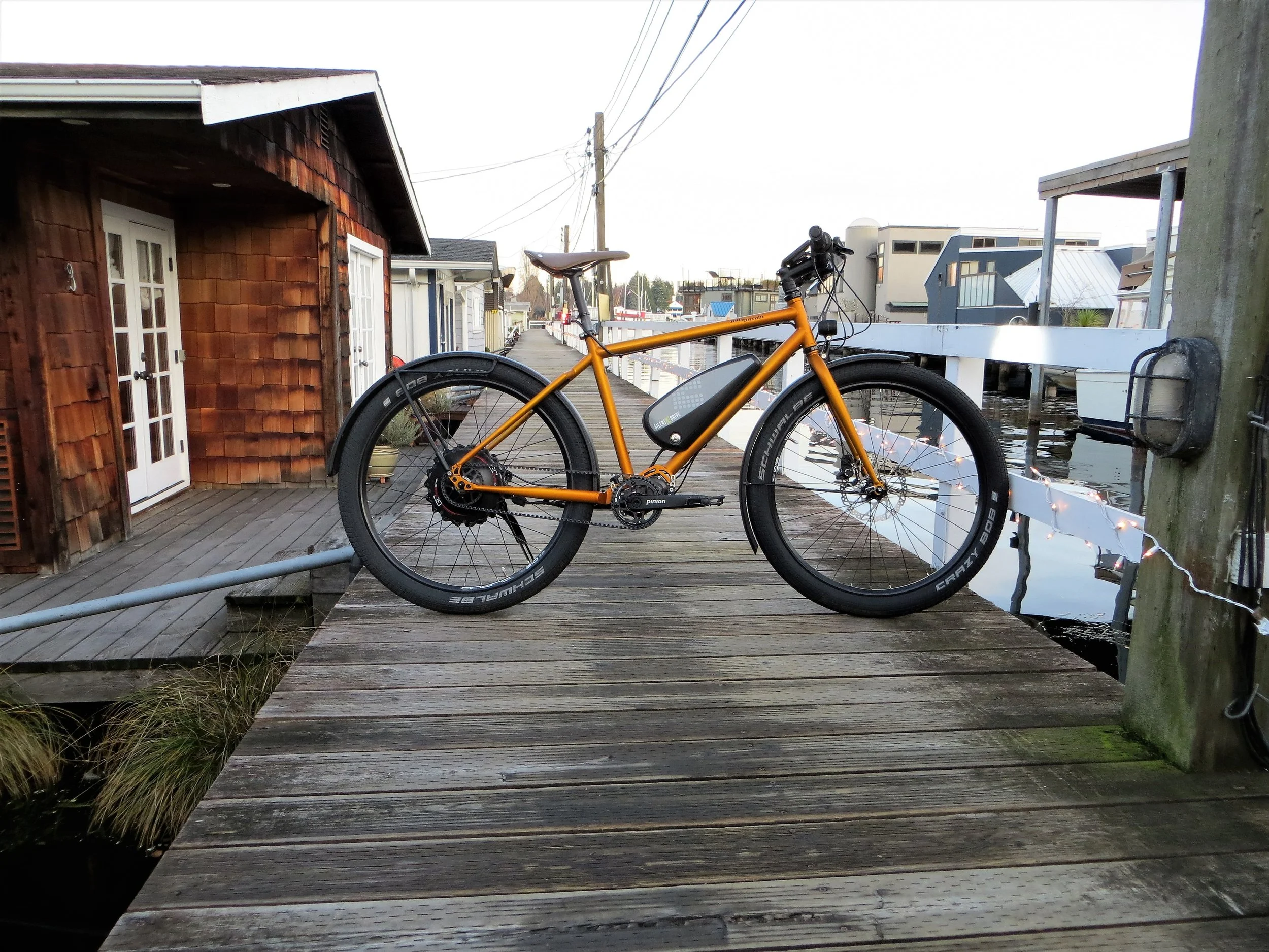 Riding an Electric Bike in Seattle