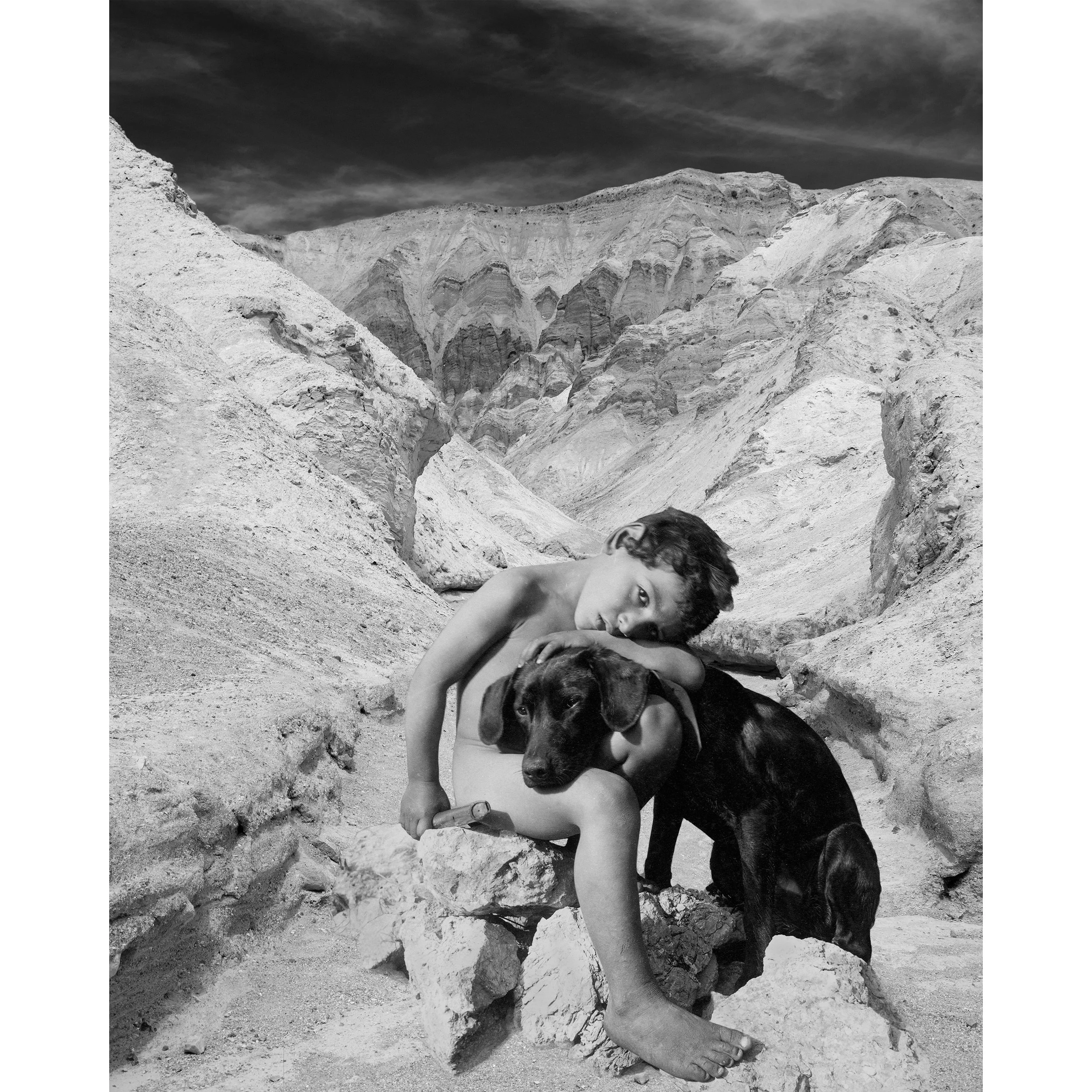 A Boy and his Dog.jpg