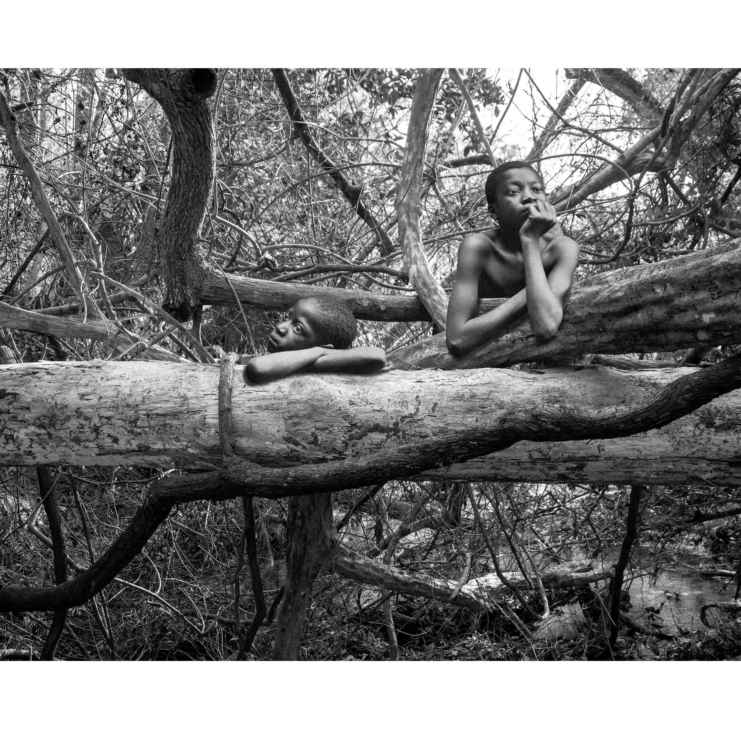 Generation Alpha - The Transcendentalists