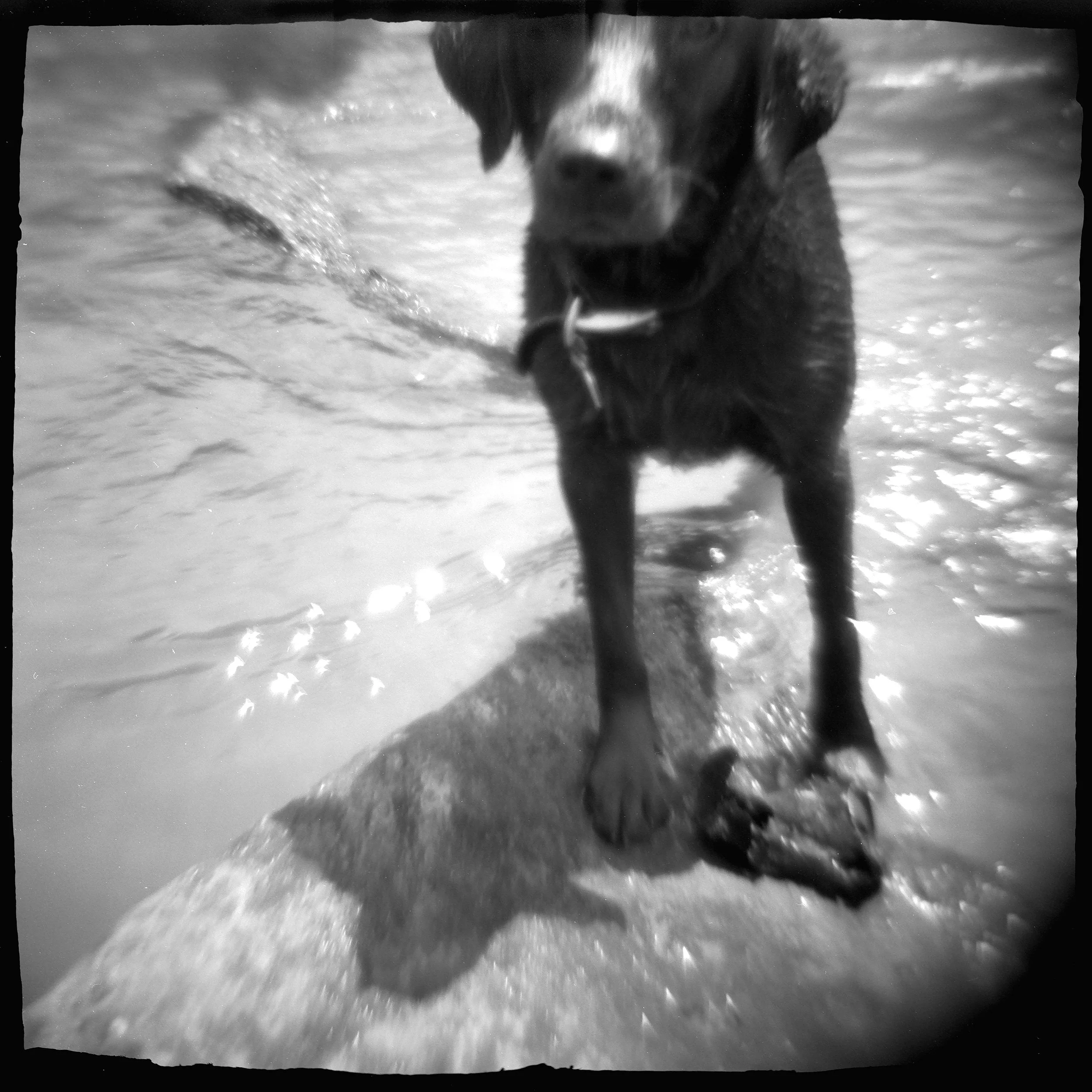 Holga-0003.jpg