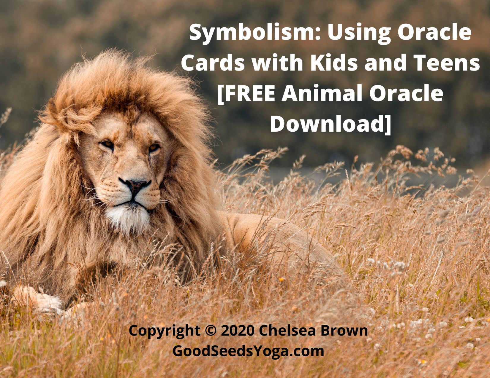 Symbolism: Using Oracle Cards with Kids and Teens [FREE Animal Oracle Download]