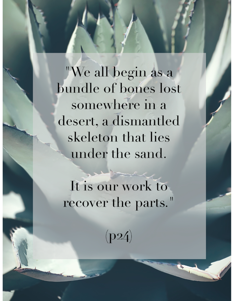 📷: @jaclyn__michelle 📚: quote from Women Who Run With The Wolves by Clarissa Pinkola Estés, Ph.D.