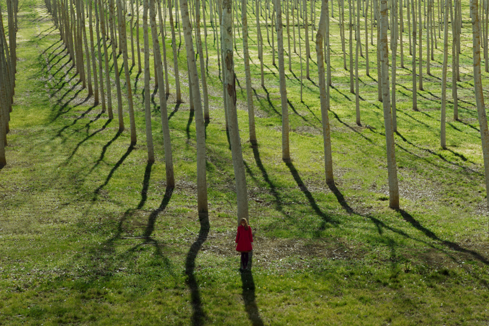 Artist: Maia Flore