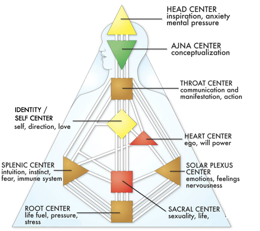 The Root Center is the square at the very bottom of our chart and is the center through which we process stress and harness our adrenaline.