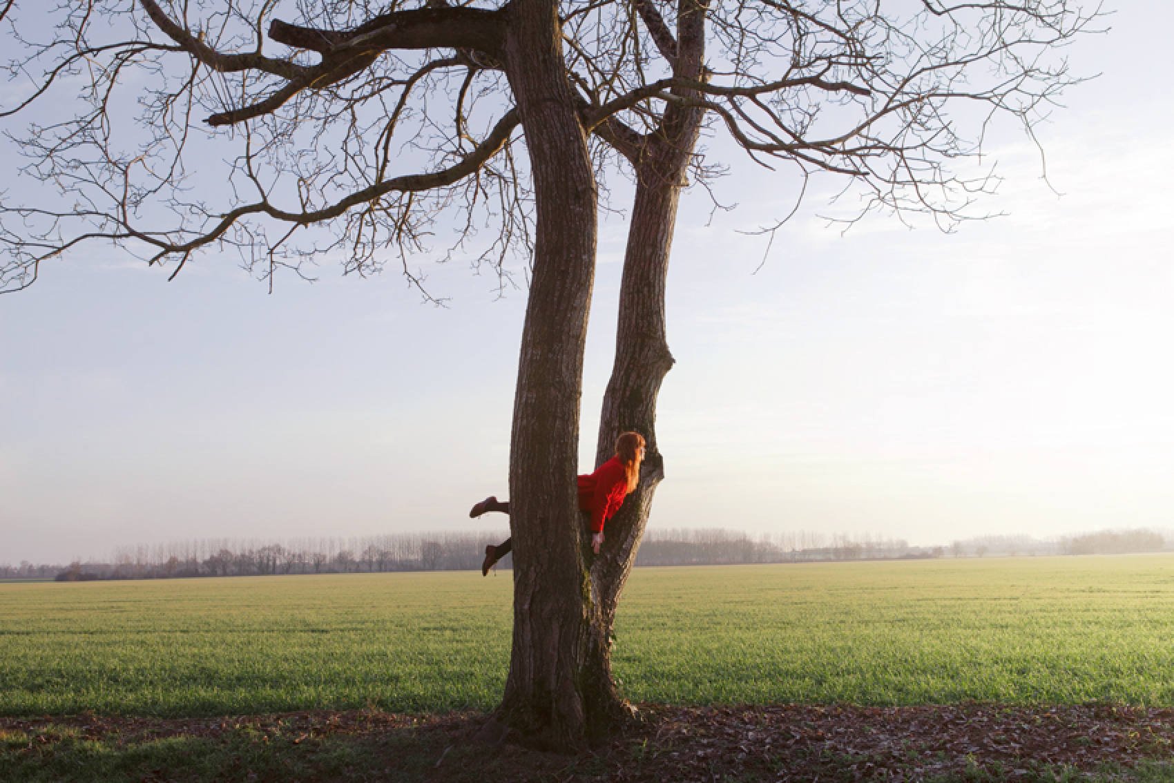 Artist: Maia Flore