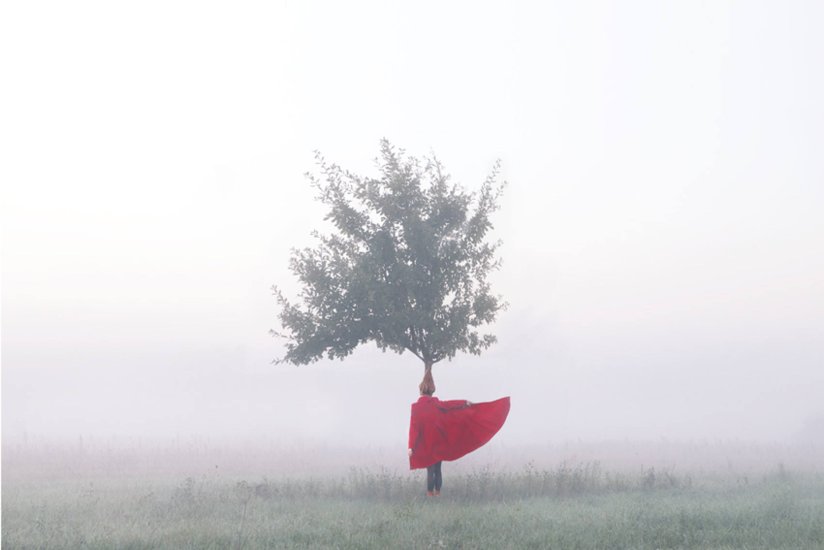 Artist: Maia Flore