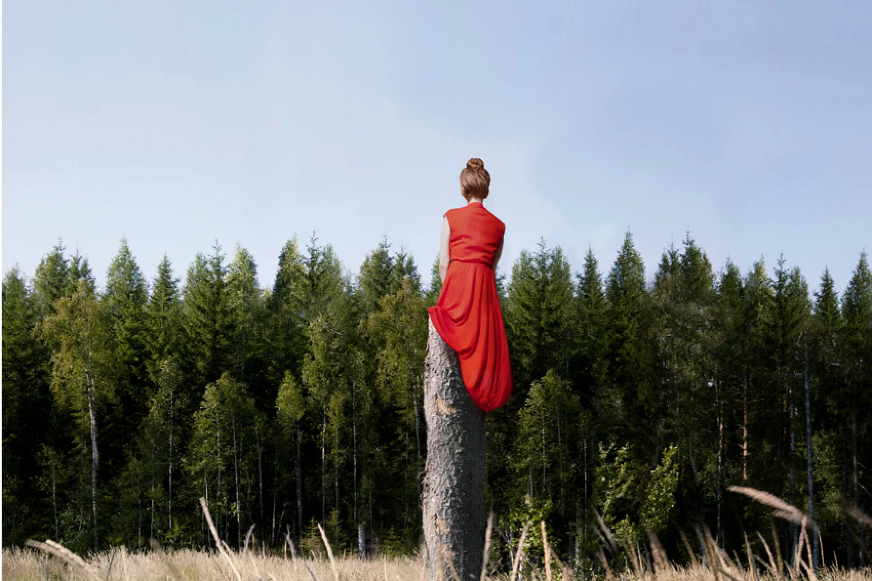 An Intro to Human Design | The Nine Centers | The Root Center