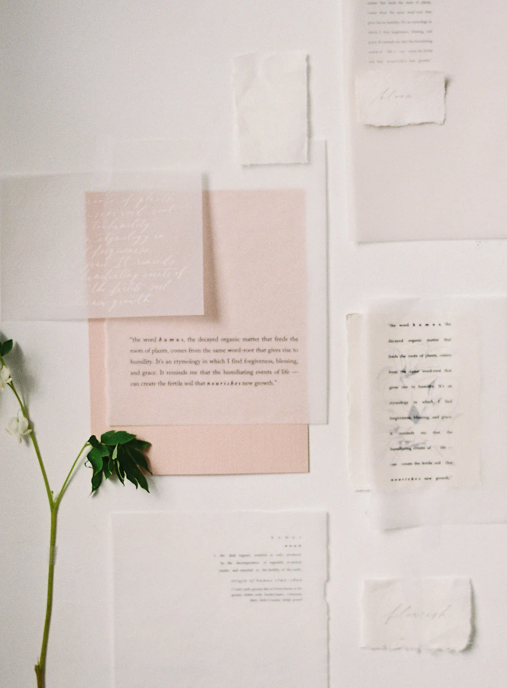 LaurenKurcxSweetWoodruff-71.jpg