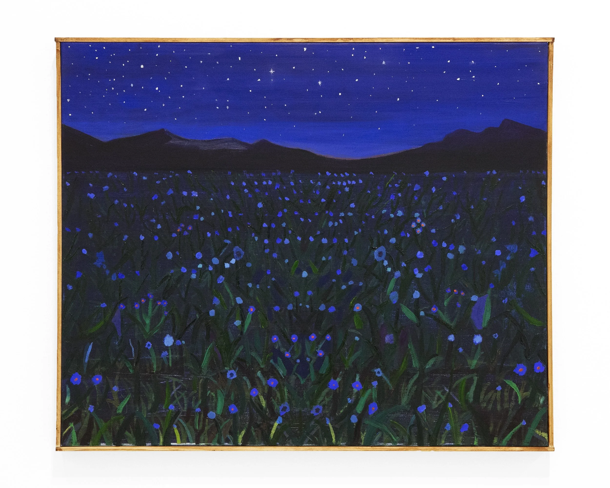 Beneath a Canopy of Crystal Songs by Joe Roberts