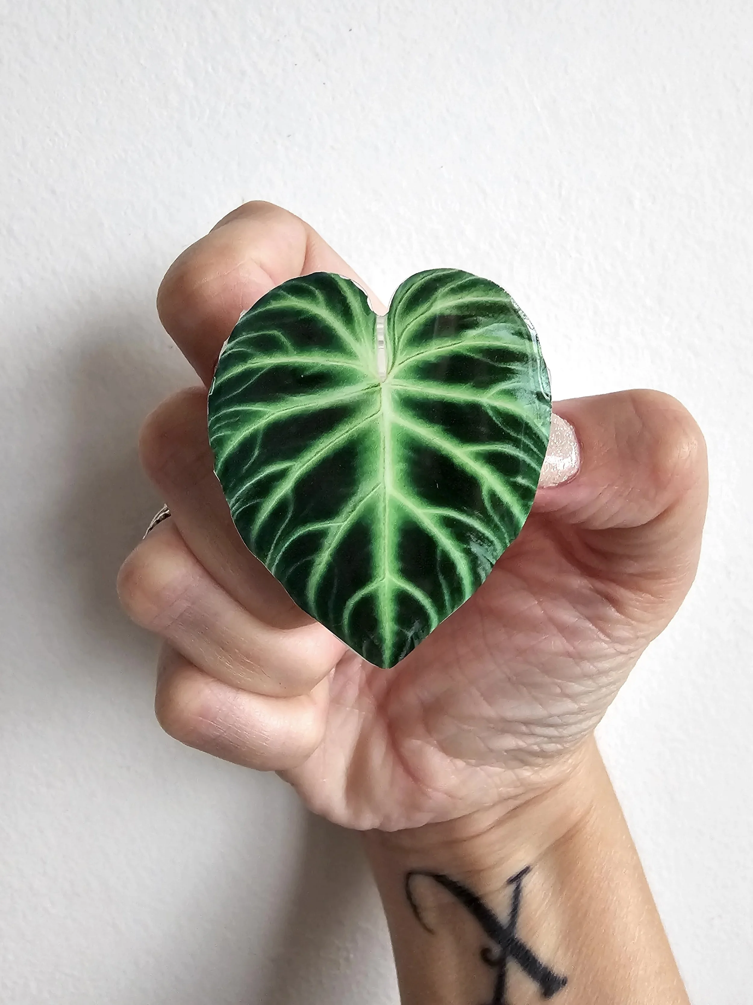 Leaf Image Phone Pop Grip — Verdant Dwellings