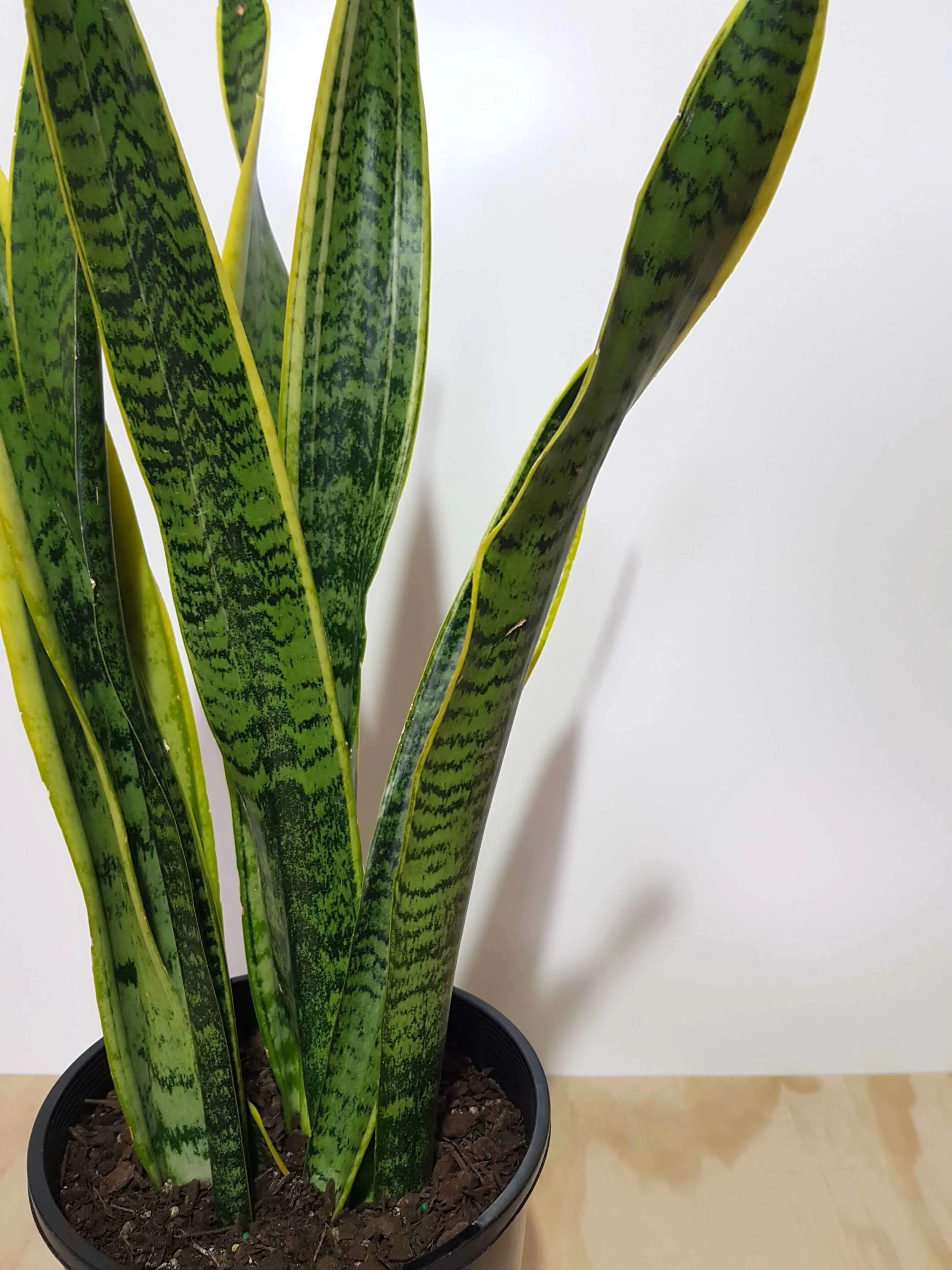 20180502_140405.jpg