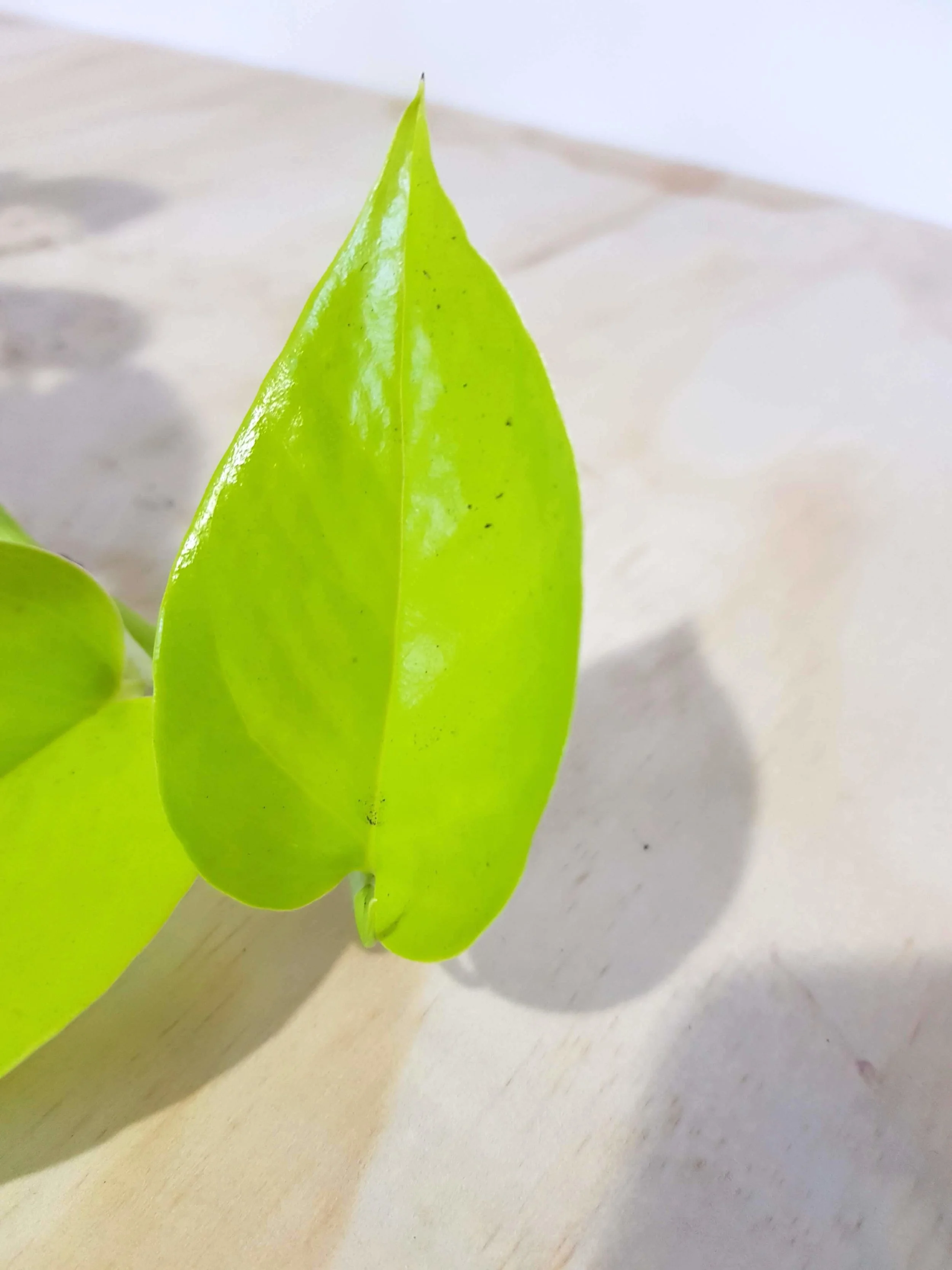 20180508_104342.jpg