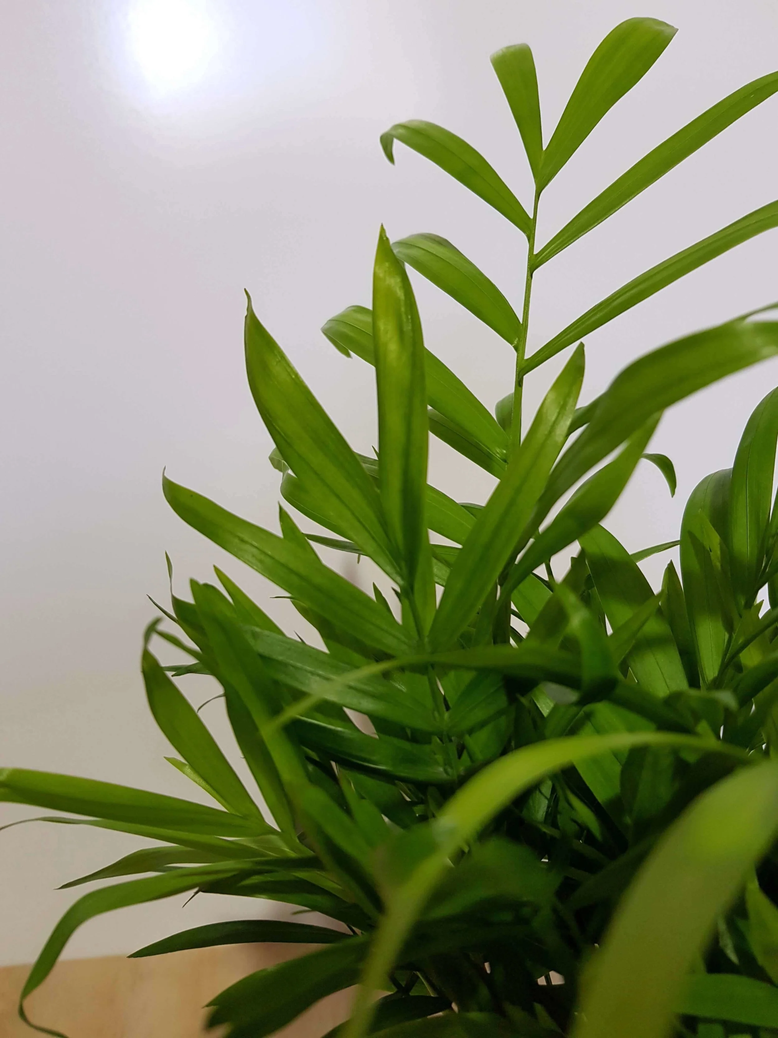 20180508_102035.jpg