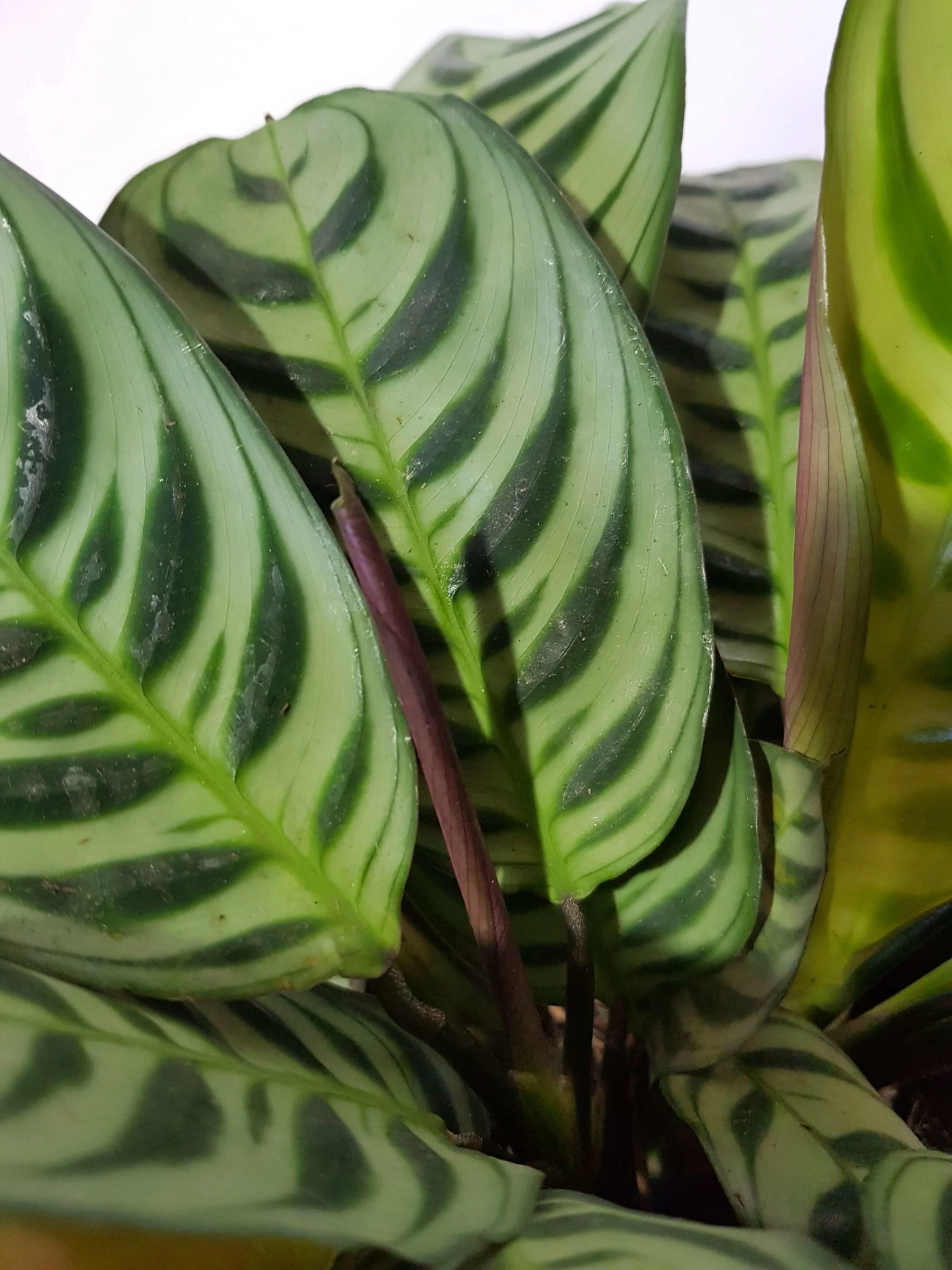 20180508_103554.jpg