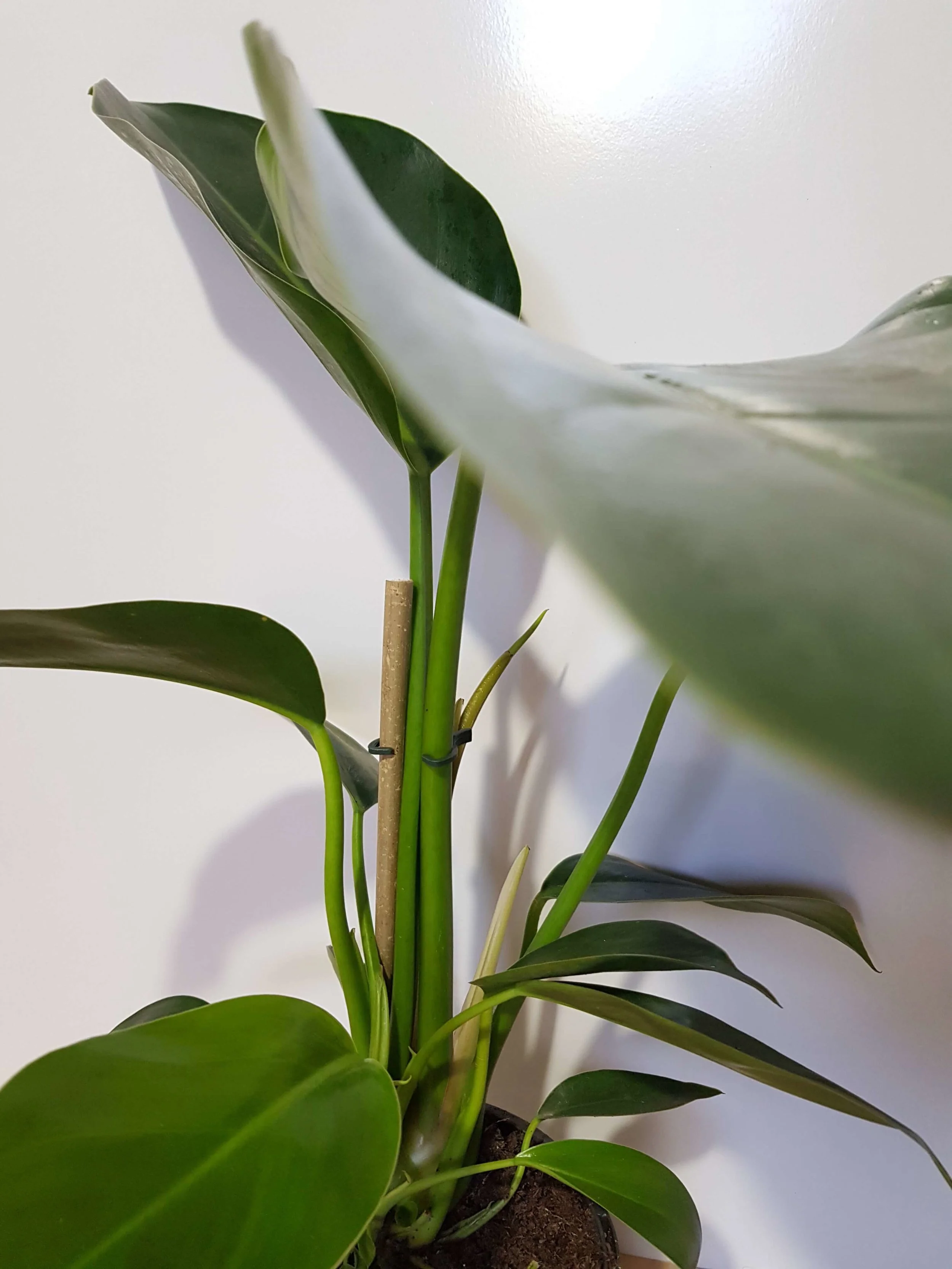20180508_104140.jpg
