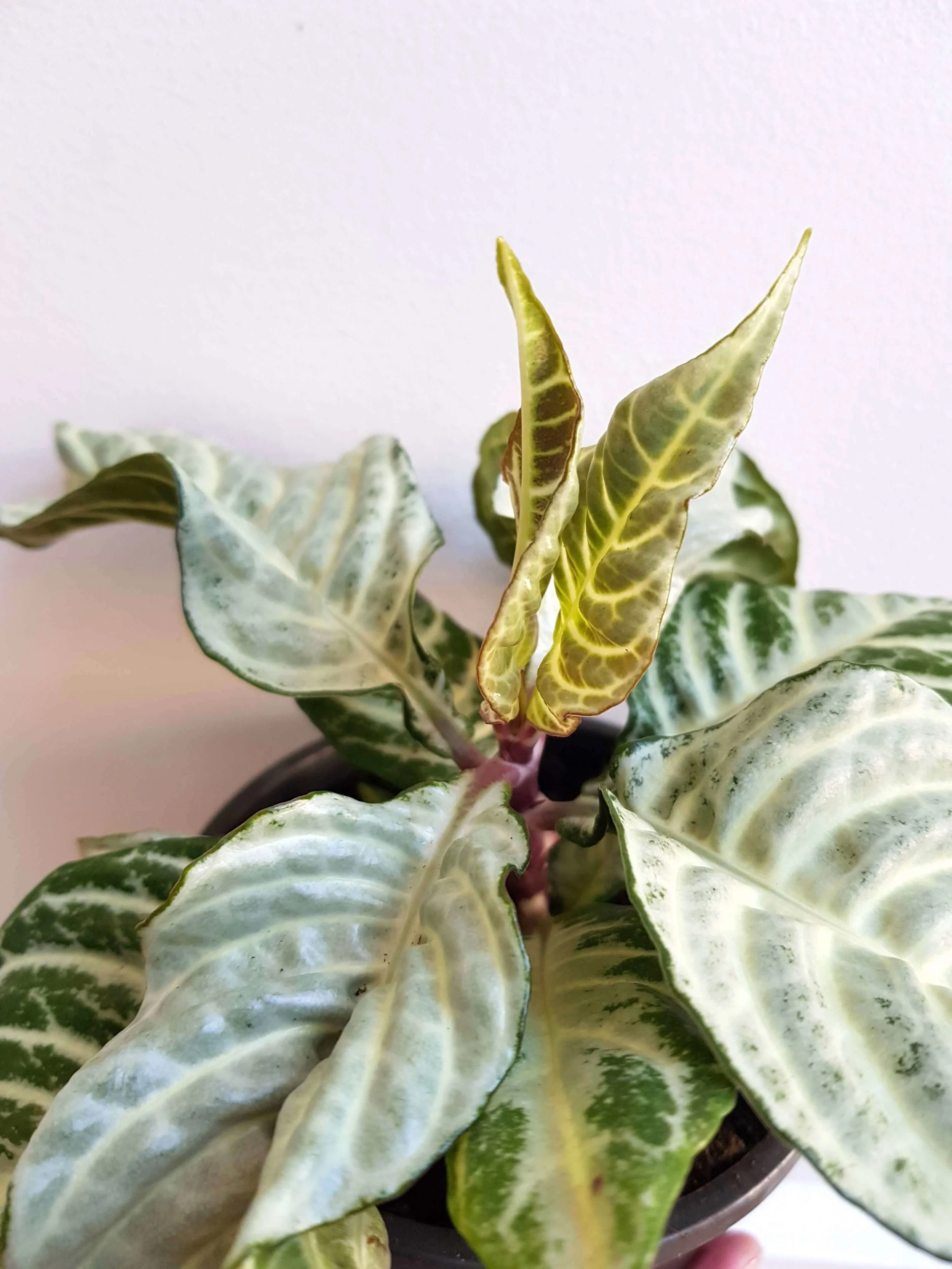 20180422_151452.jpg