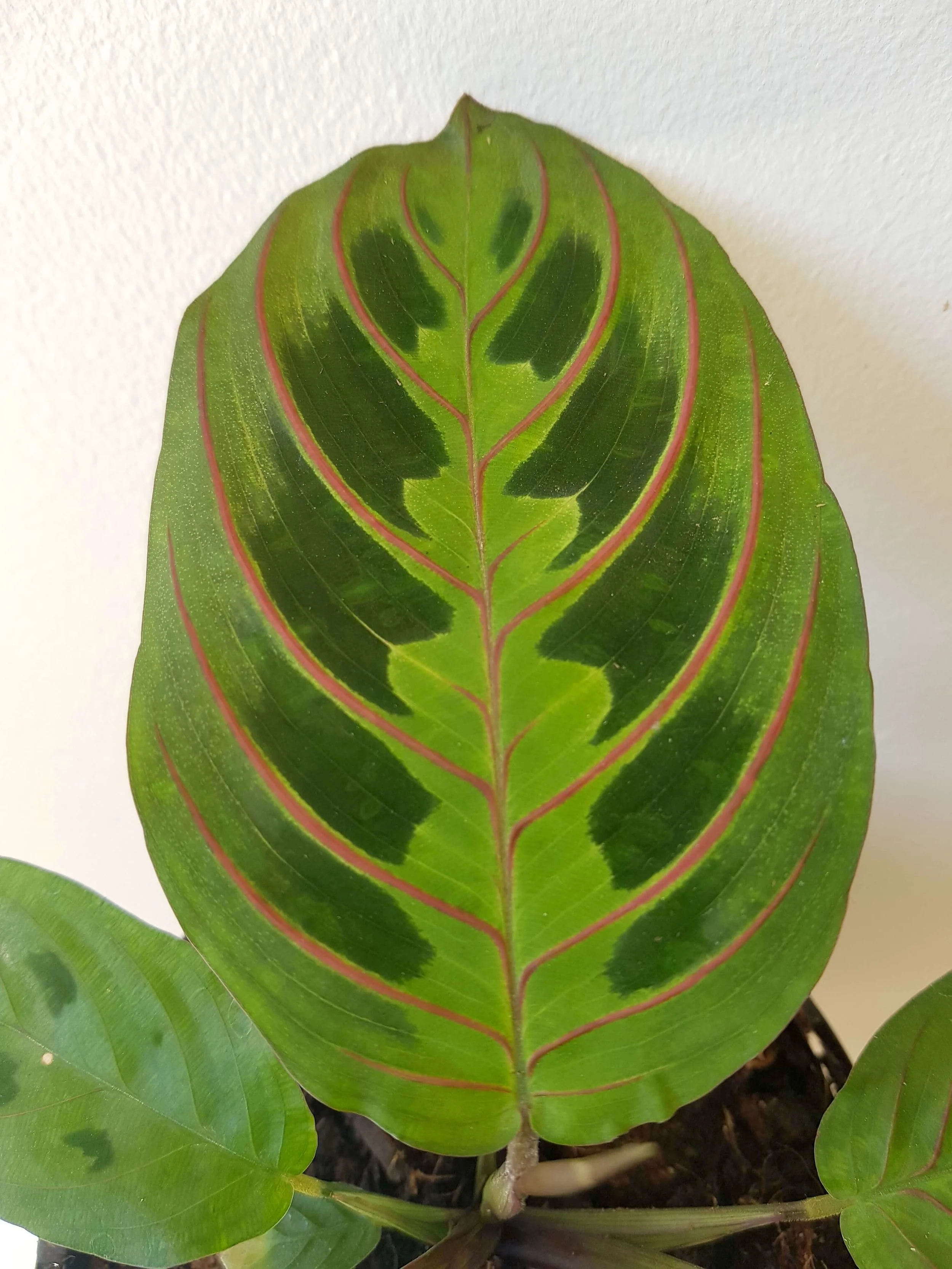 20181011_100427.jpg