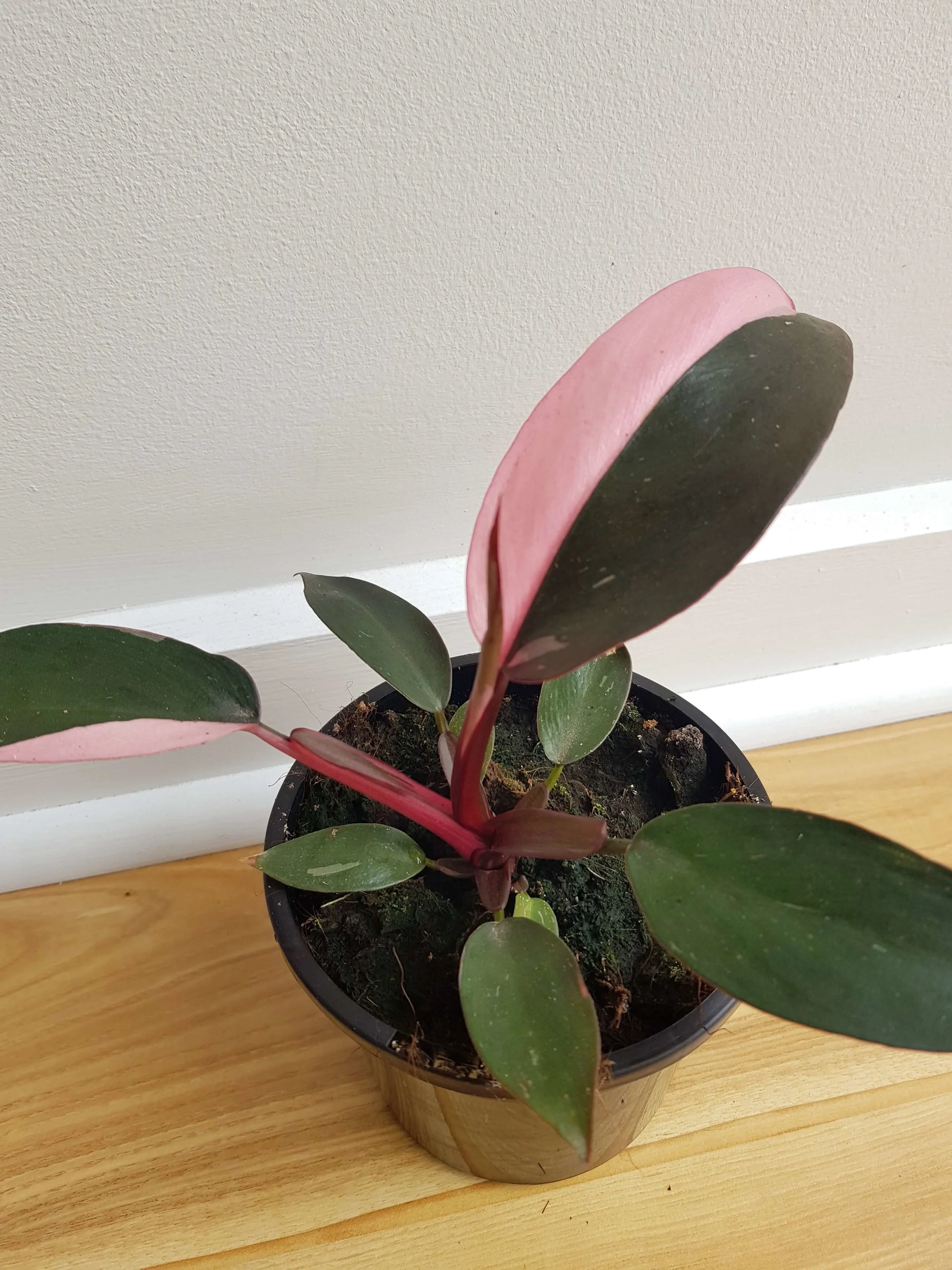 20181011_100415.jpg