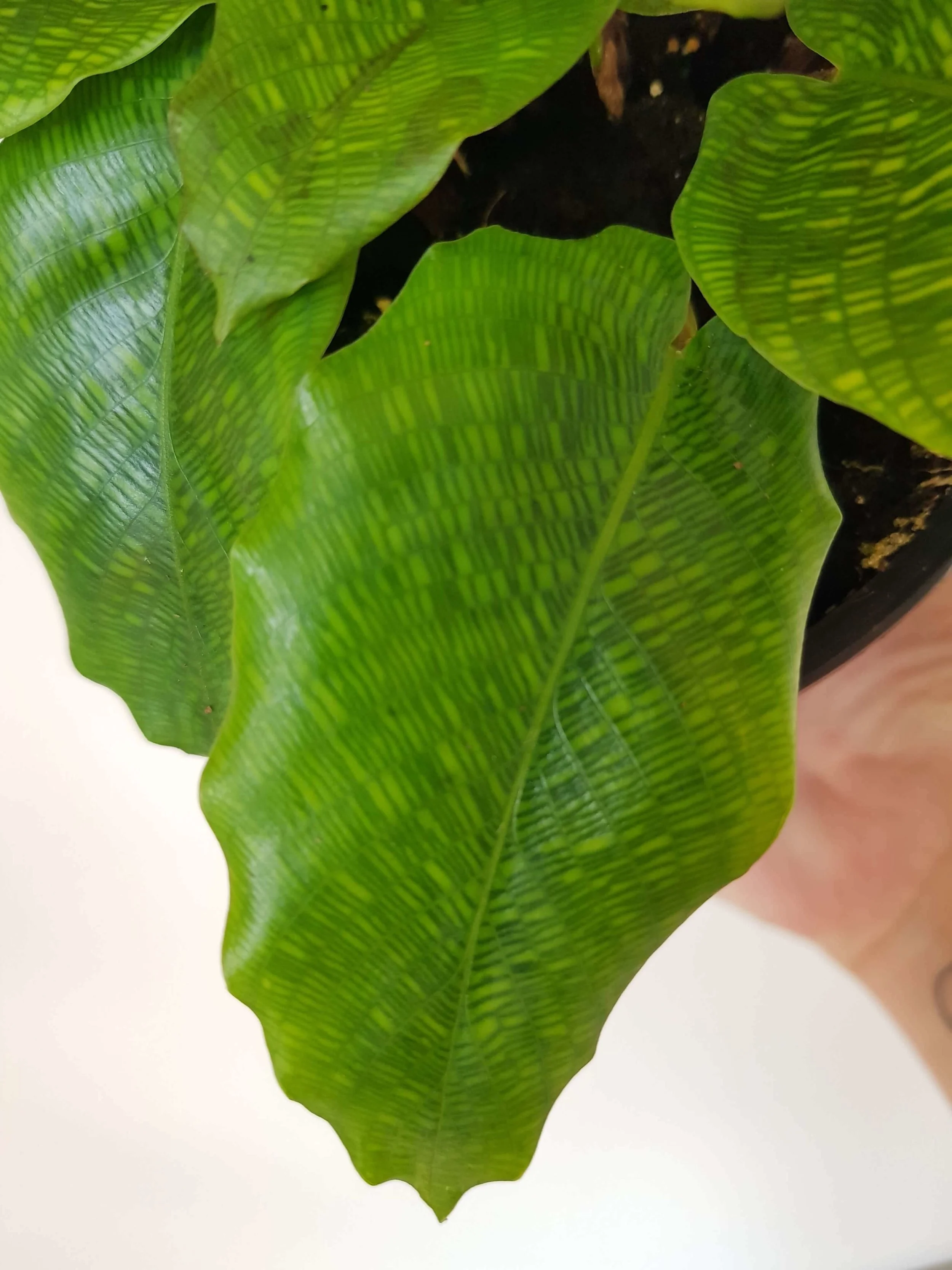 20181212_104514.jpg