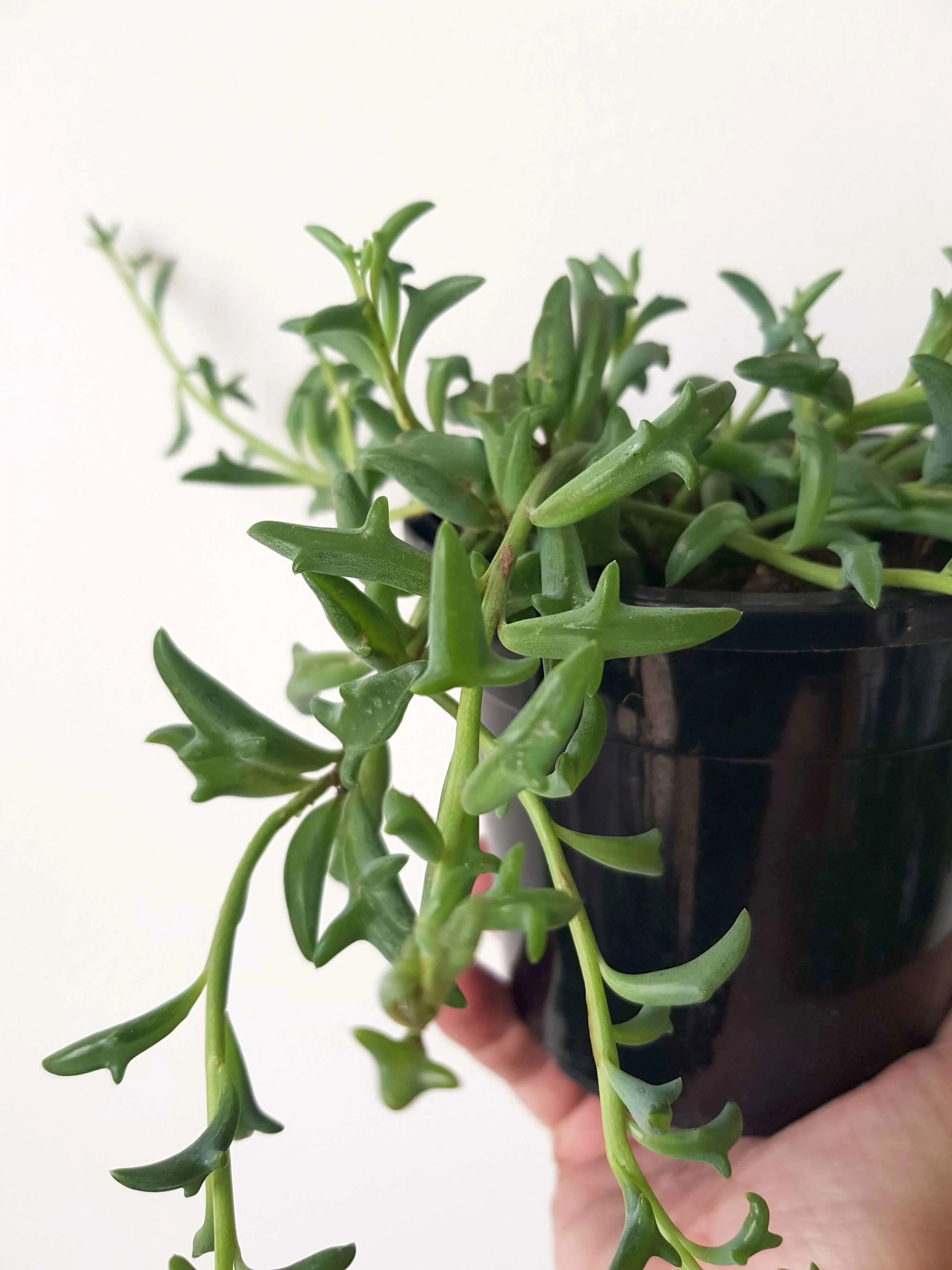 20190329_140119.jpg