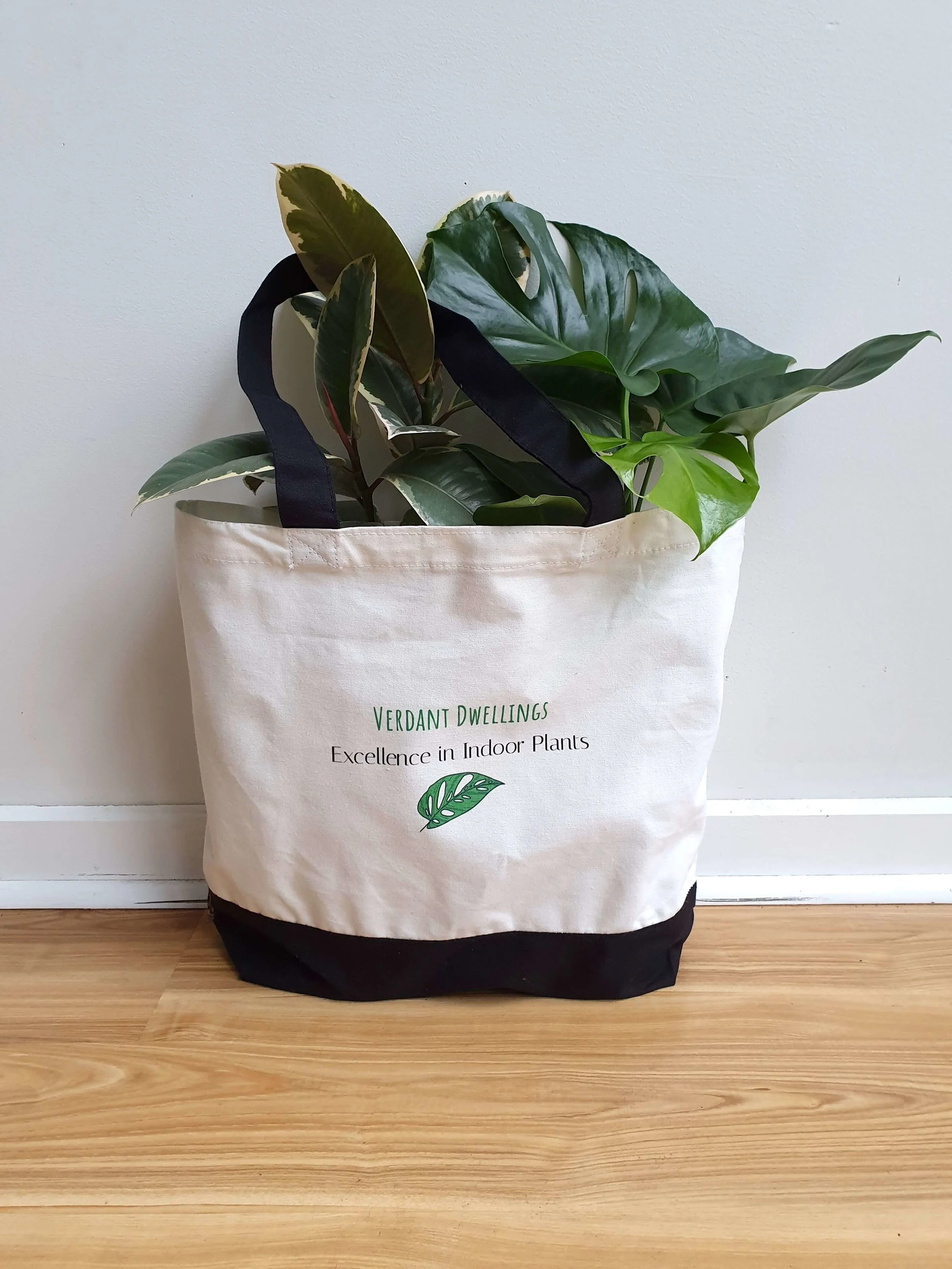 20190528_134554 copy.jpg