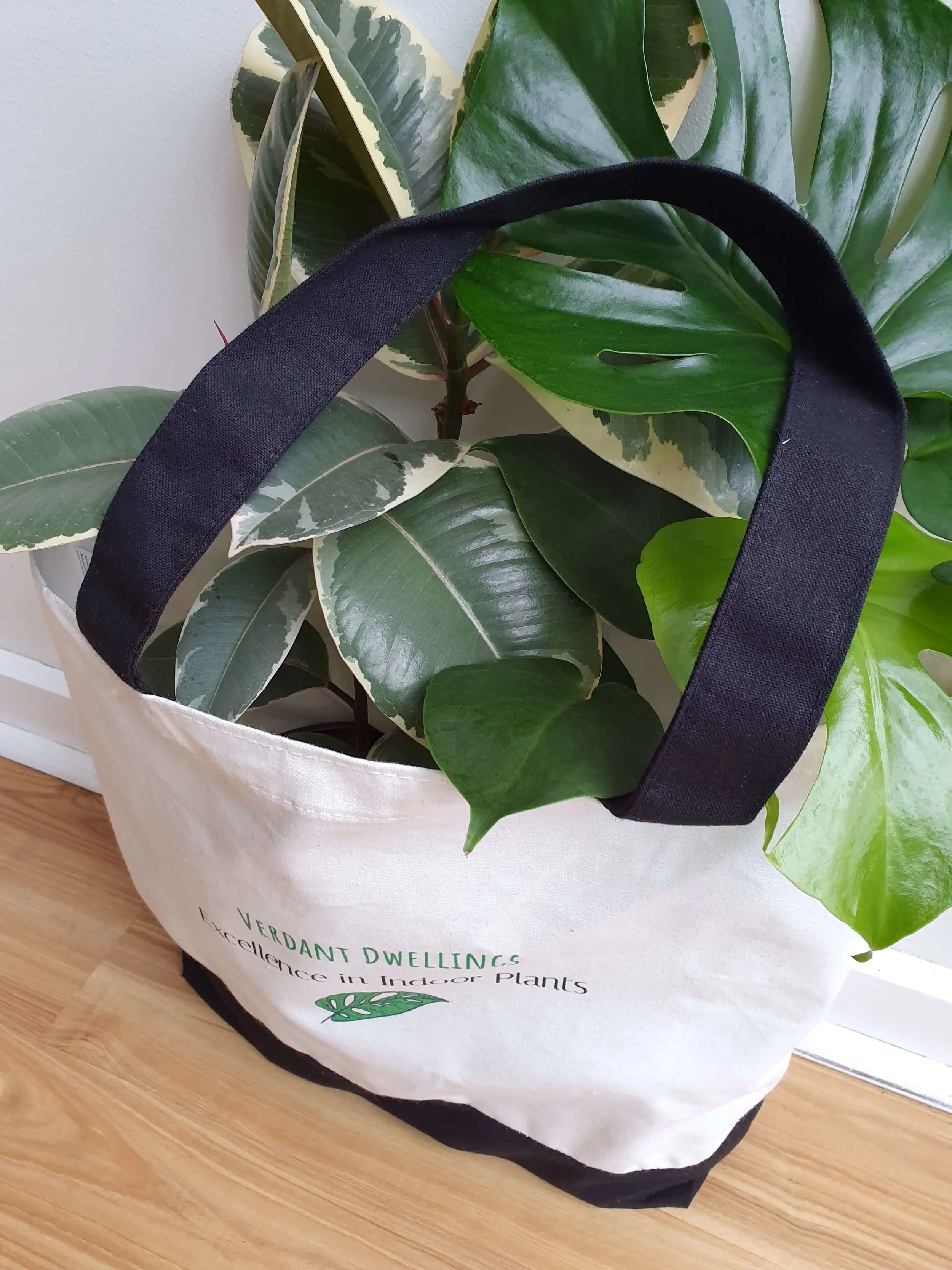 20190528_134613 copy.jpg