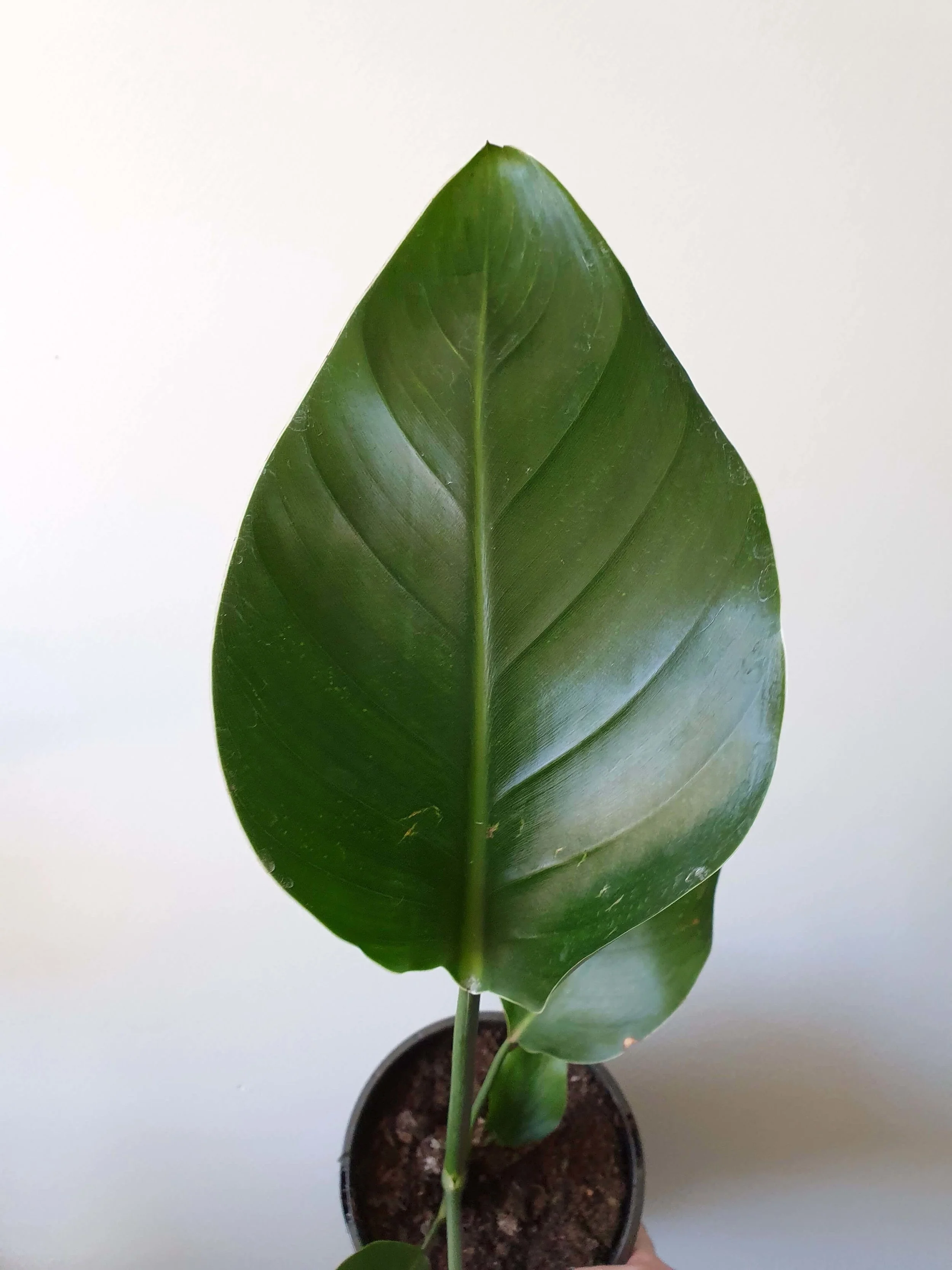20190823_131708 copy.jpg