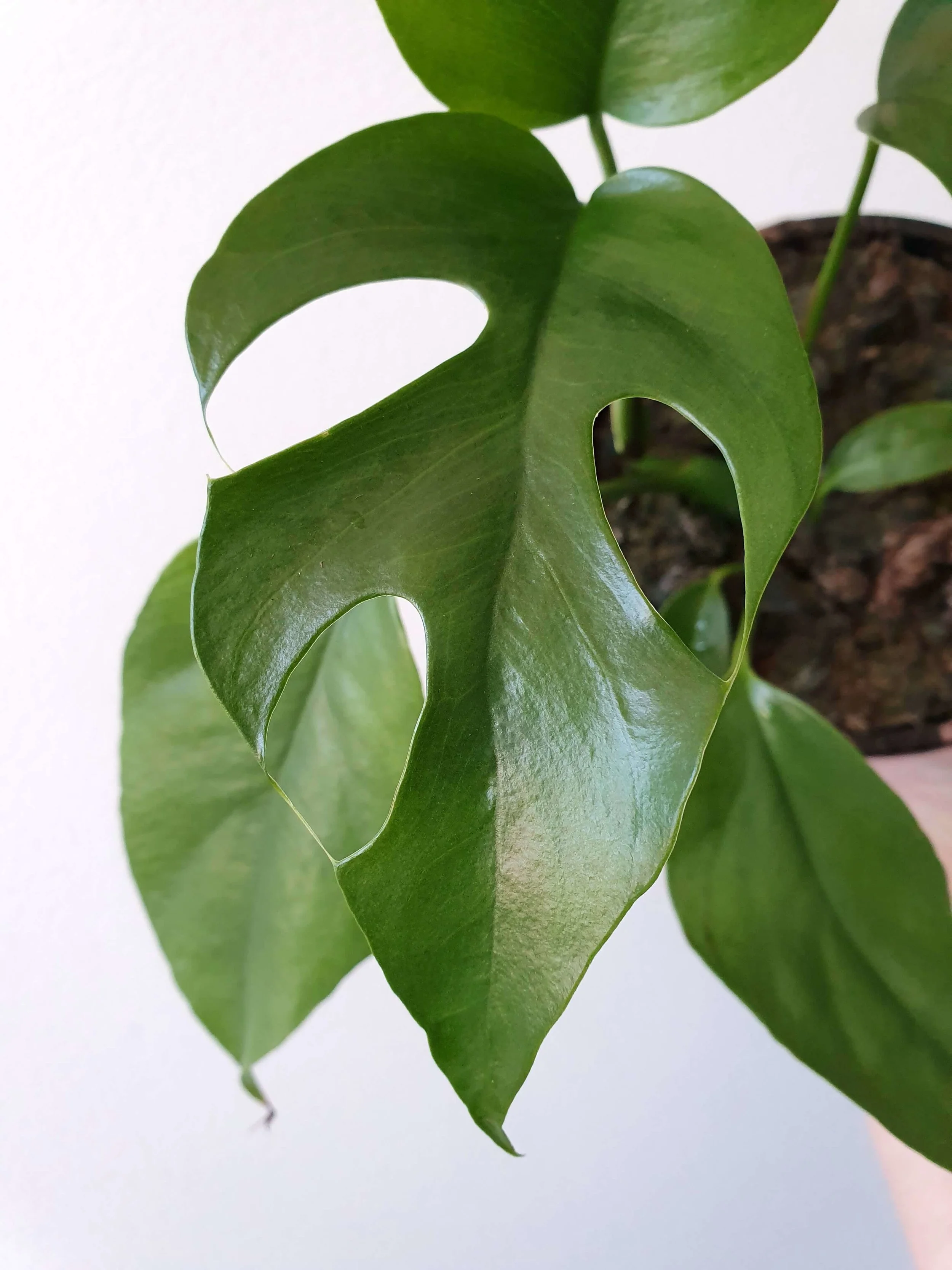 20190830_114216 copy.jpg