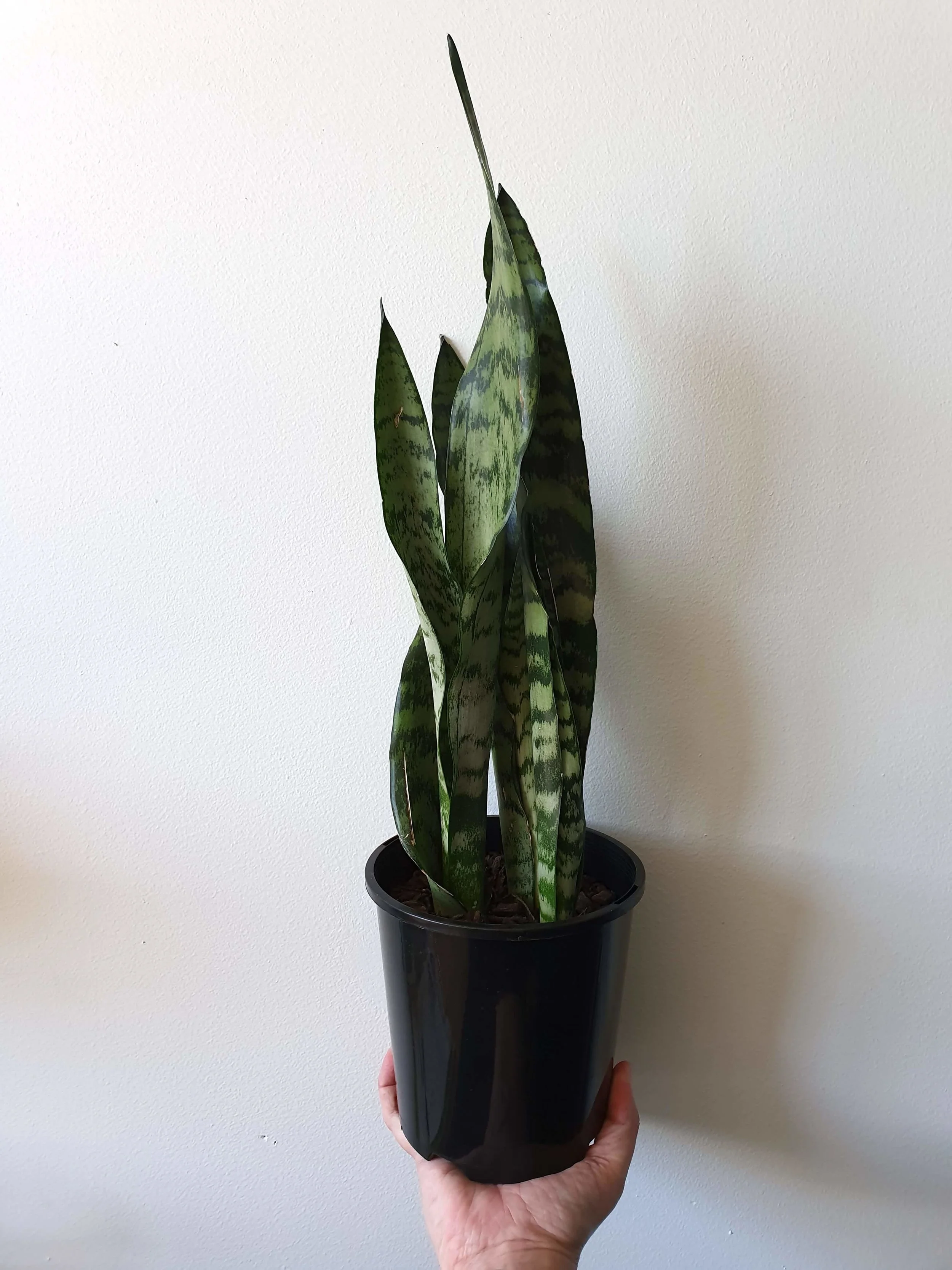 20190906_110035 copy.jpg